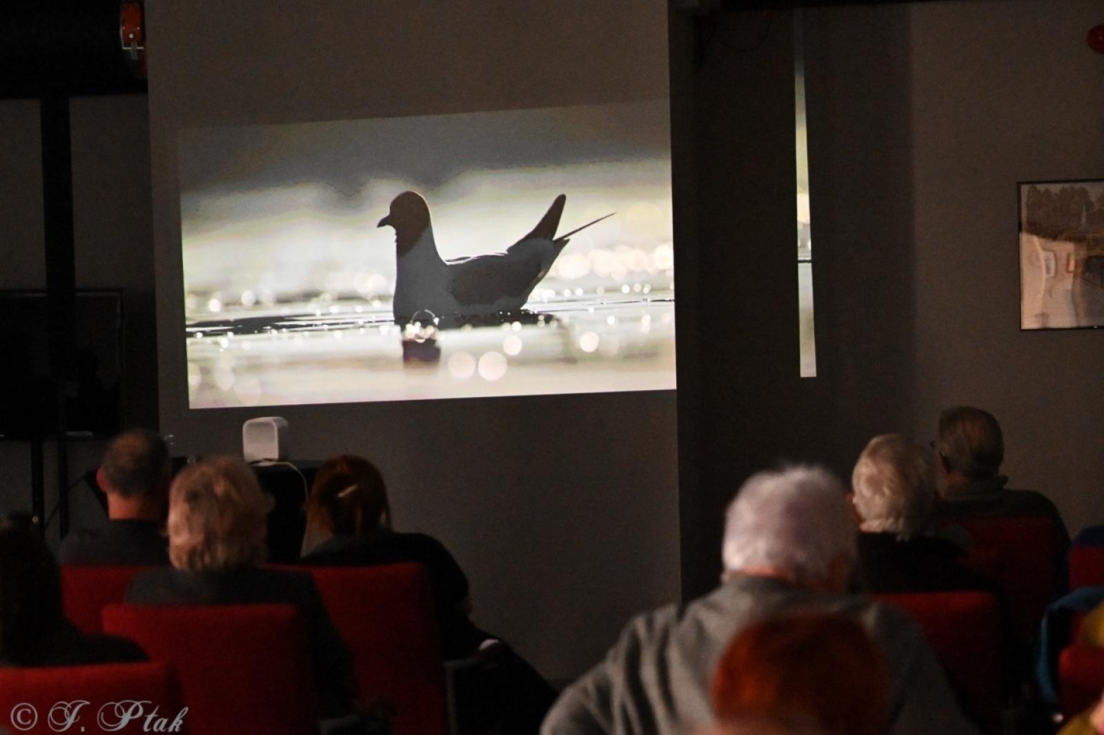 Zdjęcie w galerii na portalu naszraciborz.pl: Skarby przyrody i historii Łężczoka – kolejne spotkanie Akademii Leśnika za nami [FOTO i WIDEO] wiadomości z regionu