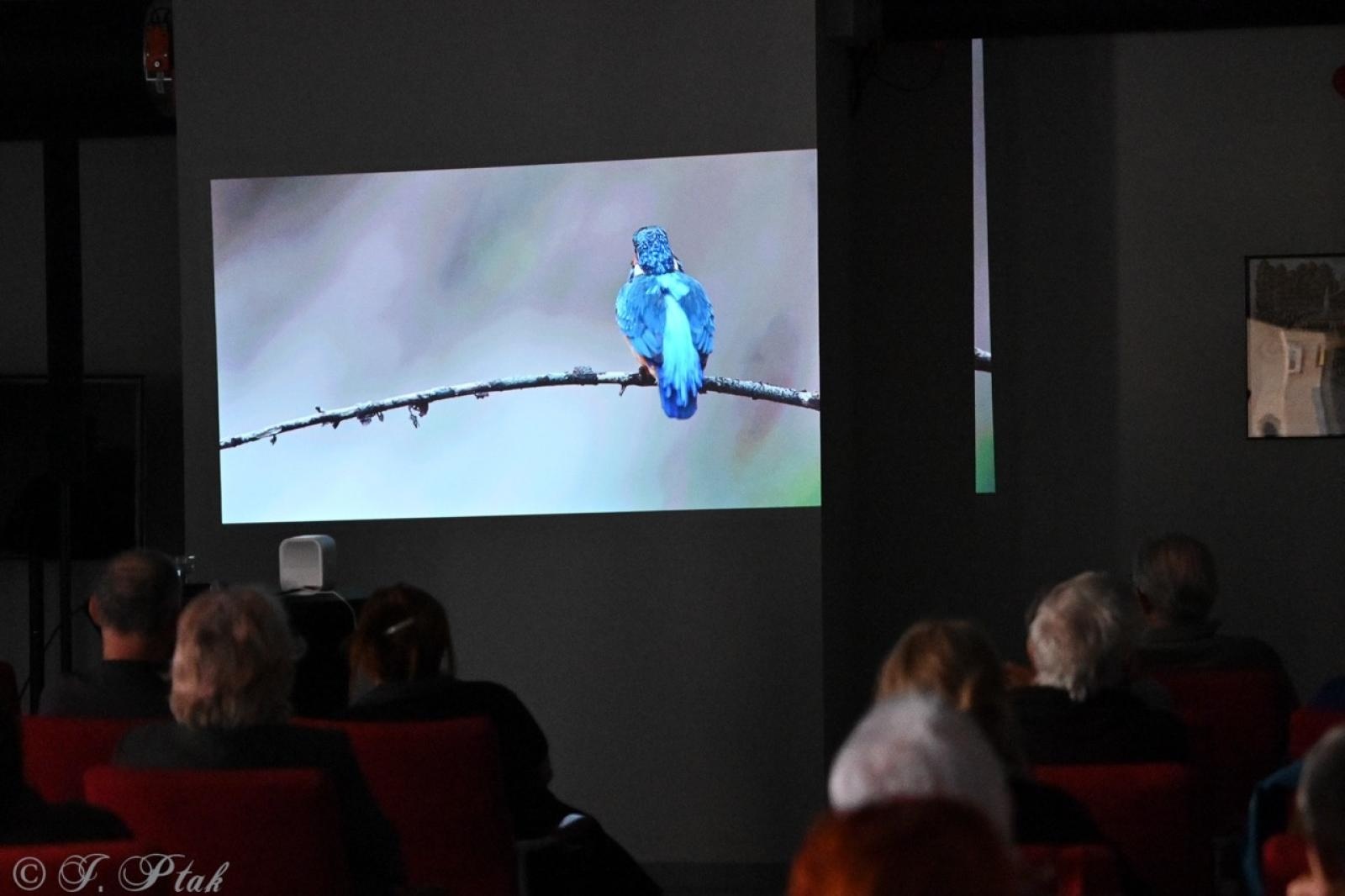 Zdjęcie w galerii na portalu naszraciborz.pl: Skarby przyrody i historii Łężczoka – kolejne spotkanie Akademii Leśnika za nami [FOTO i WIDEO] wiadomości z regionu