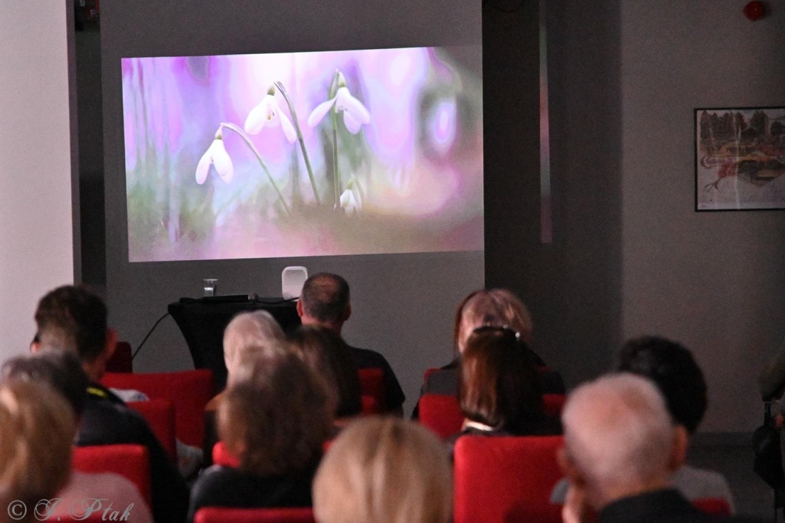 Zdjęcie w galerii na portalu naszraciborz.pl: Skarby przyrody i historii Łężczoka – kolejne spotkanie Akademii Leśnika za nami [FOTO i WIDEO] wiadomości z regionu