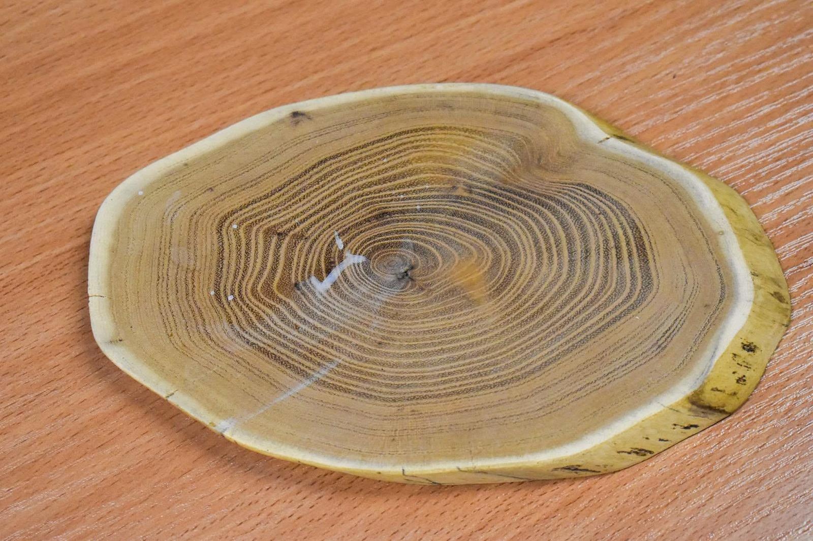 Zdjęcie w galerii na portalu naszraciborz.pl: Niedziela na Zamku Piastowskim. Coraz większa popularność spotkań historyczno-przyrodniczych wiadomości z regionu