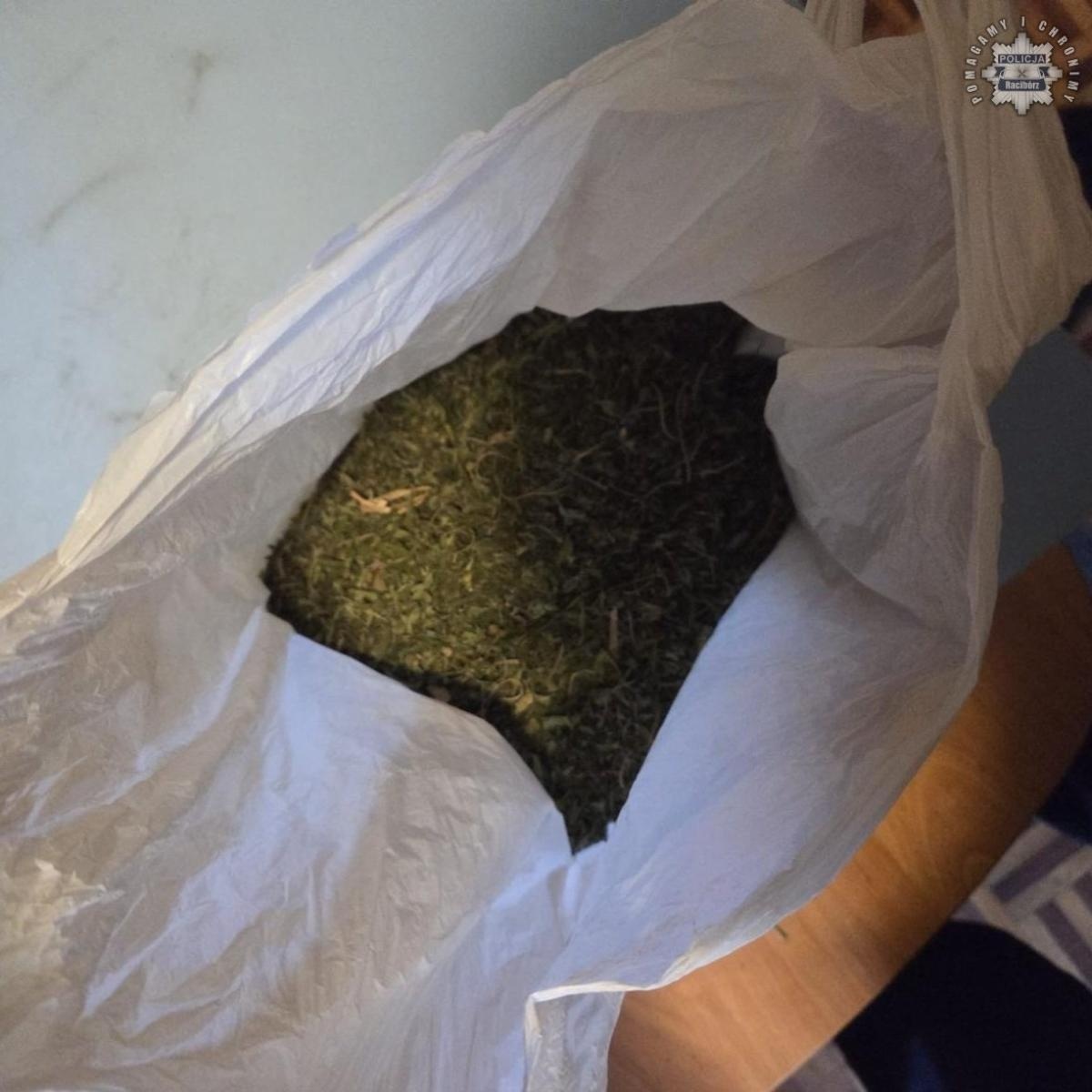 Zdjęcie w galerii na portalu naszraciborz.pl: Nerwowe zachowanie zdradziło kierowcę mercedesa wiadomości z regionu