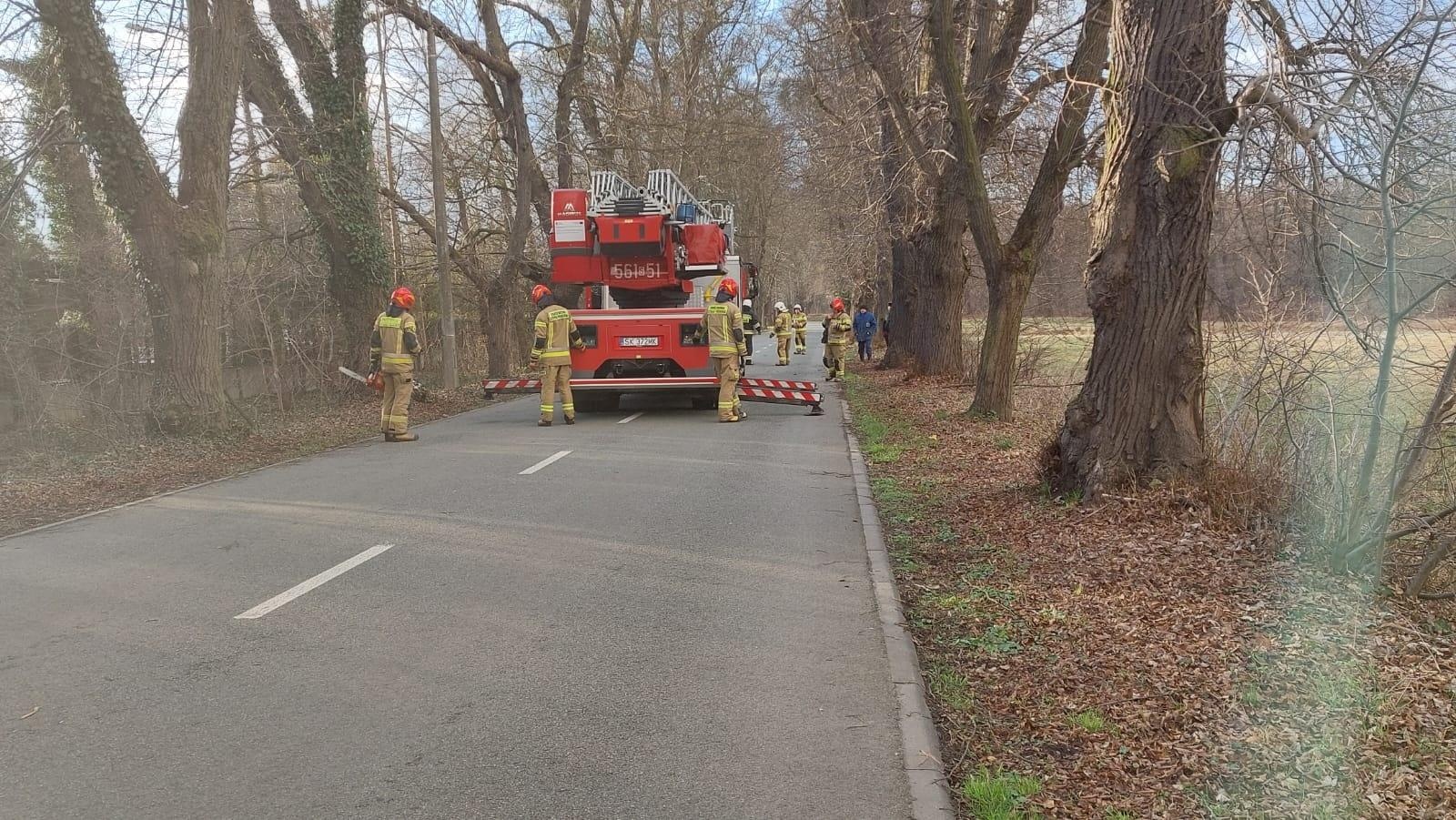 Zdjęcie w galerii na portalu naszraciborz.pl: Złamane drzewo w Rudach. W akcji trzy zastępy straży wiadomości z regionu