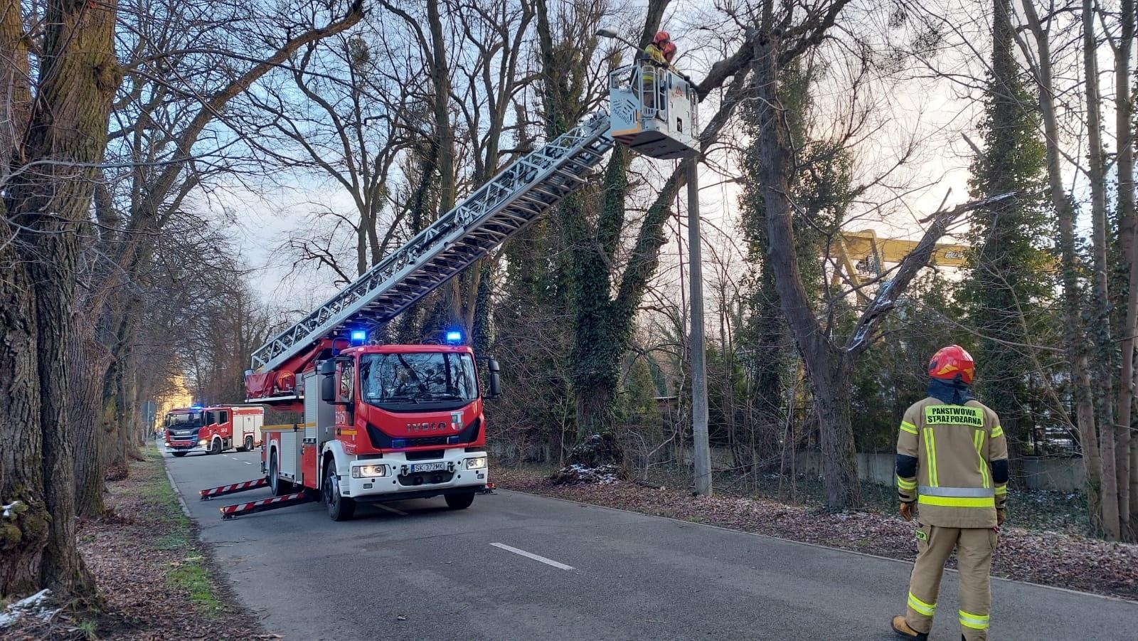 Zdjęcie w galerii na portalu naszraciborz.pl: Złamane drzewo w Rudach. W akcji trzy zastępy straży wiadomości z regionu