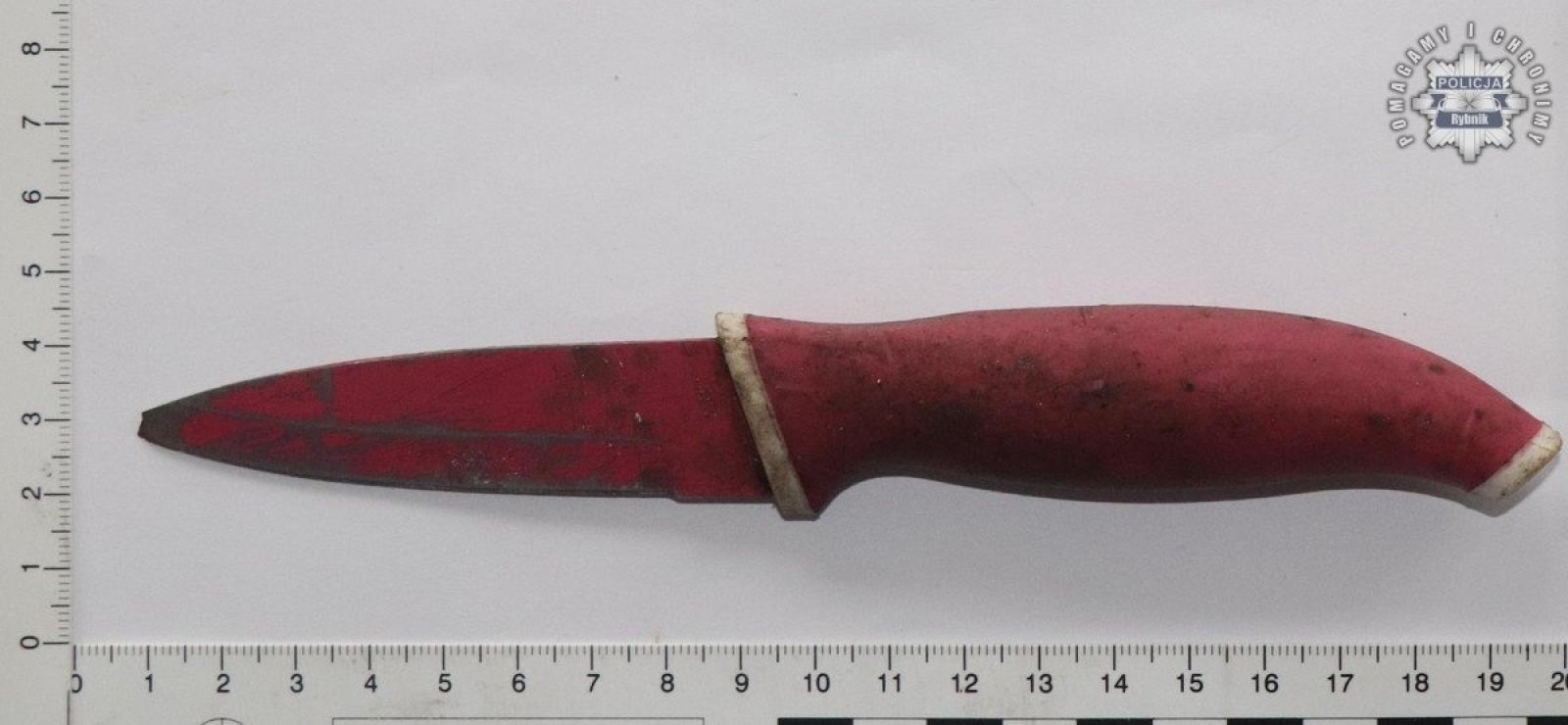 Zdjęcie w galerii na portalu naszraciborz.pl: Brutalny napad z maczetą i bronią gazową. Żądali zwrotu długu syna wiadomości z regionu