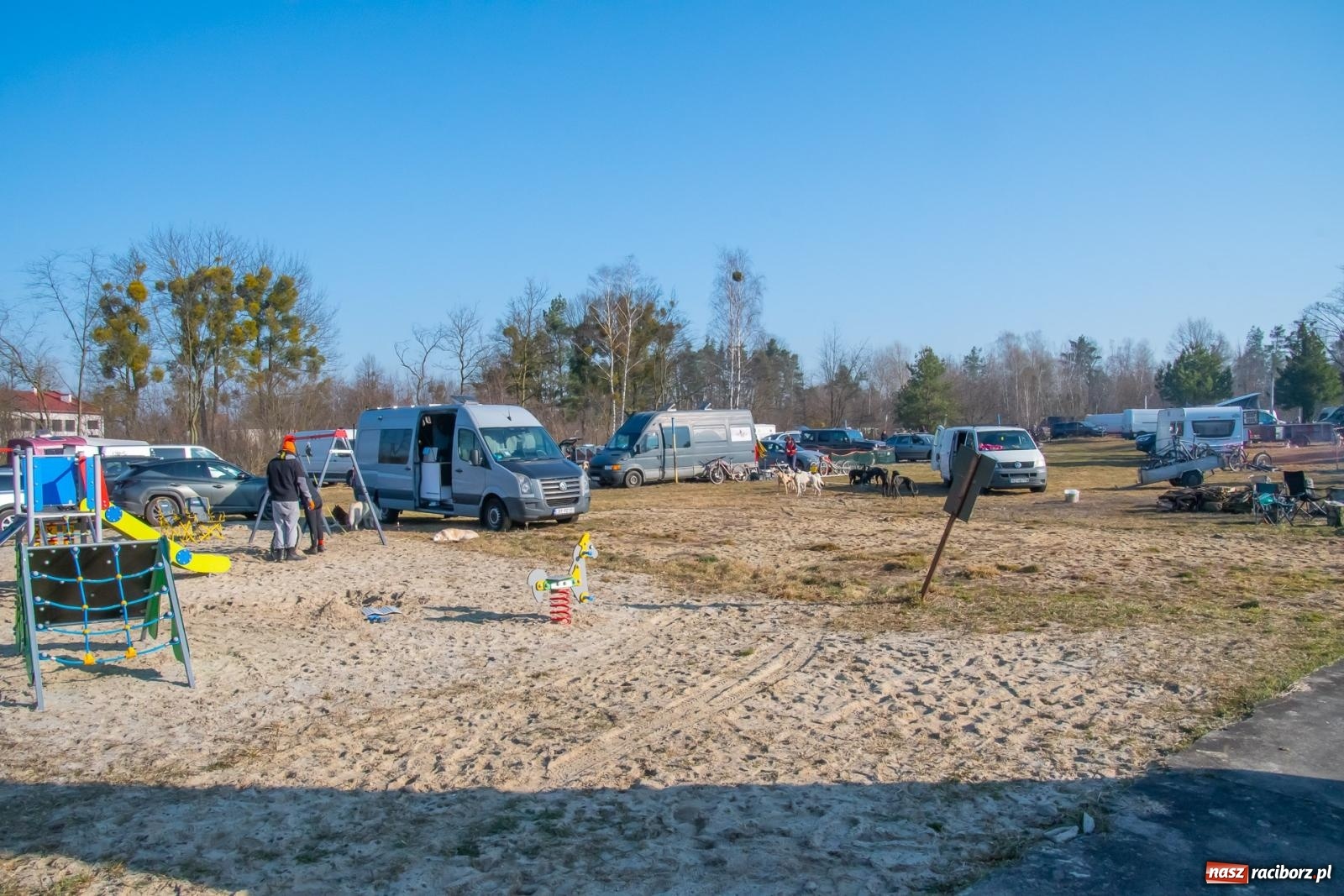 Zdjęcie w galerii na portalu naszraciborz.pl: DOG ADVENTURE SPRINT RACE – zawody psich zaprzęgów w Kuźni Raciborskiej [FOTO i WIDEO] wiadomości z regionu