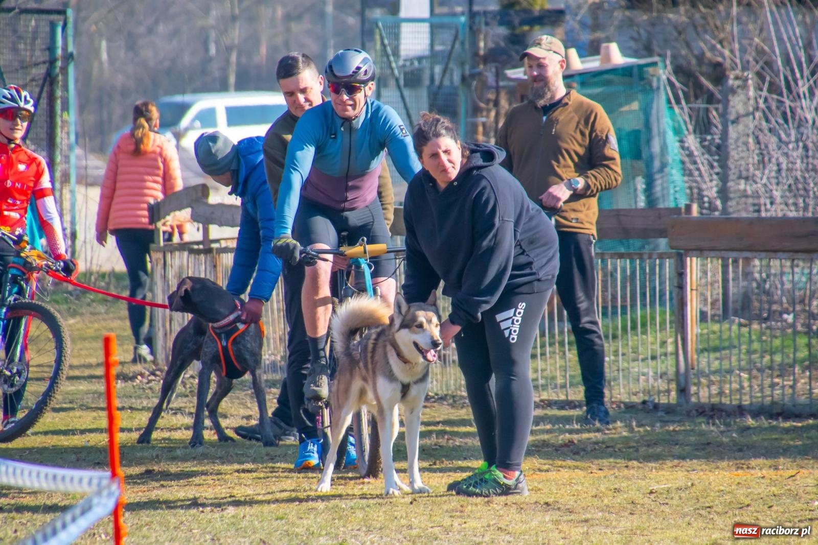 Zdjęcie w galerii na portalu naszraciborz.pl: DOG ADVENTURE SPRINT RACE – zawody psich zaprzęgów w Kuźni Raciborskiej [FOTO i WIDEO] wiadomości z regionu