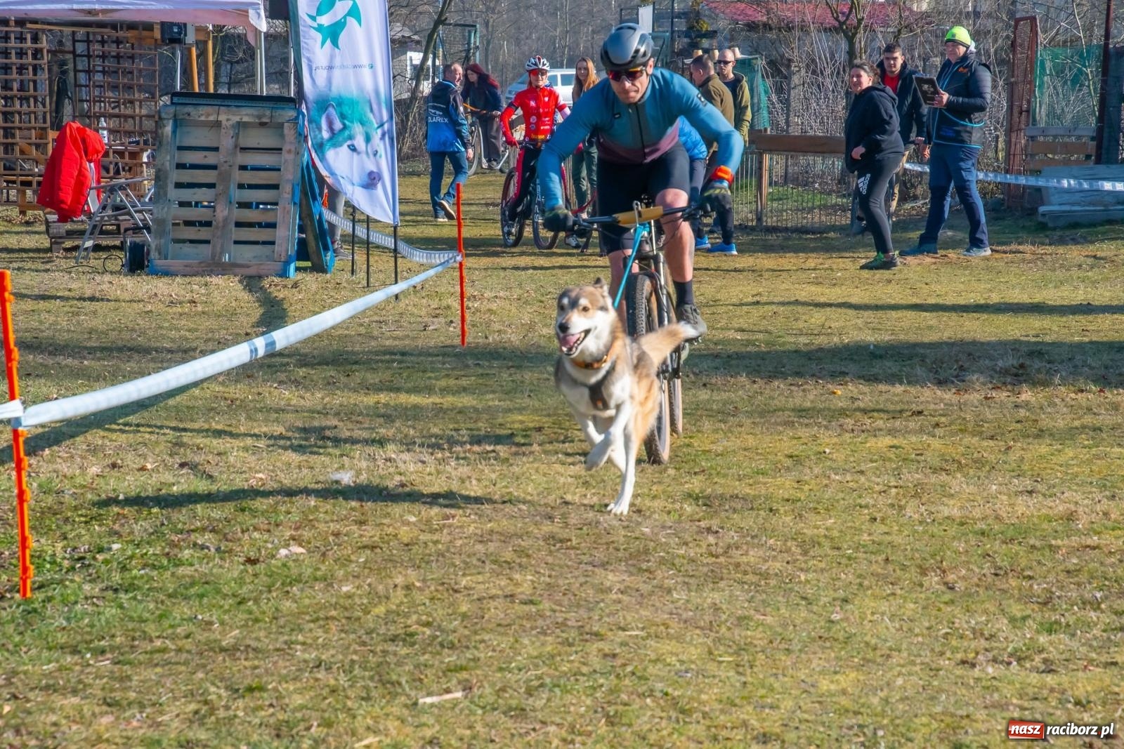 Zdjęcie w galerii na portalu naszraciborz.pl: DOG ADVENTURE SPRINT RACE – zawody psich zaprzęgów w Kuźni Raciborskiej [FOTO i WIDEO] wiadomości z regionu