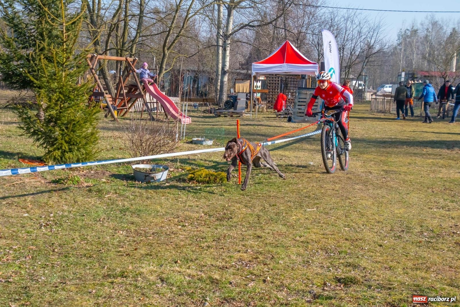 Zdjęcie w galerii na portalu naszraciborz.pl: DOG ADVENTURE SPRINT RACE – zawody psich zaprzęgów w Kuźni Raciborskiej [FOTO i WIDEO] wiadomości z regionu