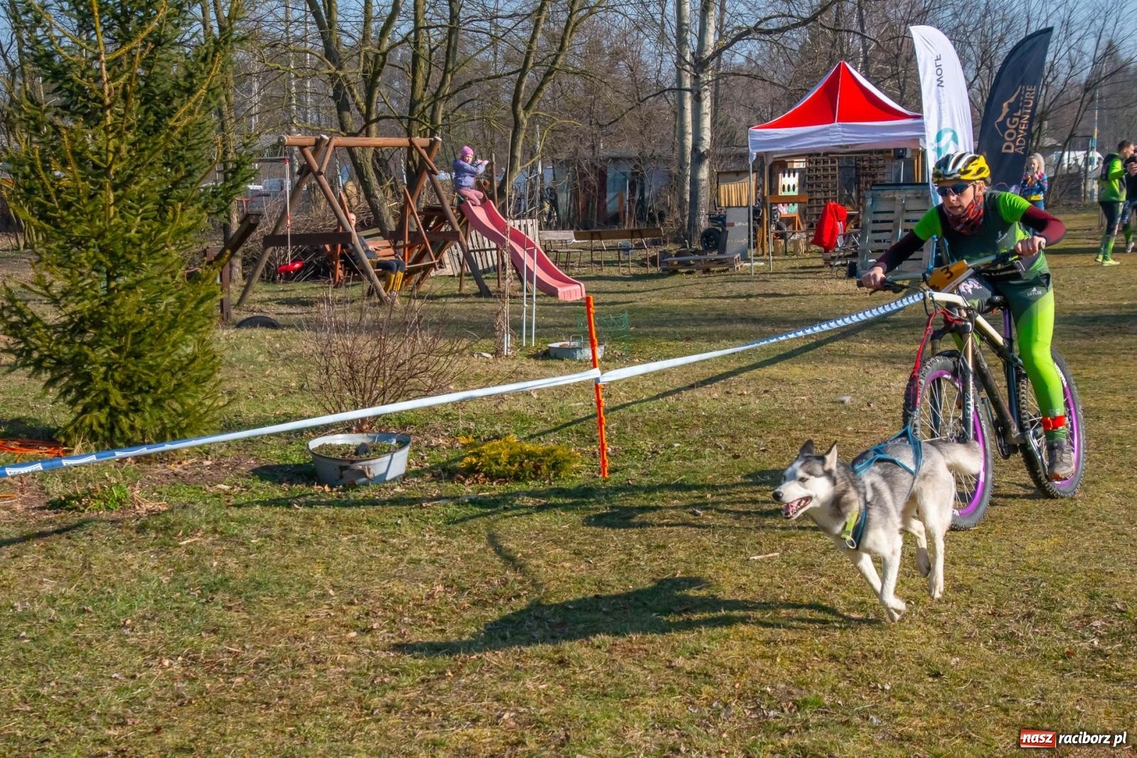 Zdjęcie w galerii na portalu naszraciborz.pl: DOG ADVENTURE SPRINT RACE – zawody psich zaprzęgów w Kuźni Raciborskiej [FOTO i WIDEO] wiadomości z regionu