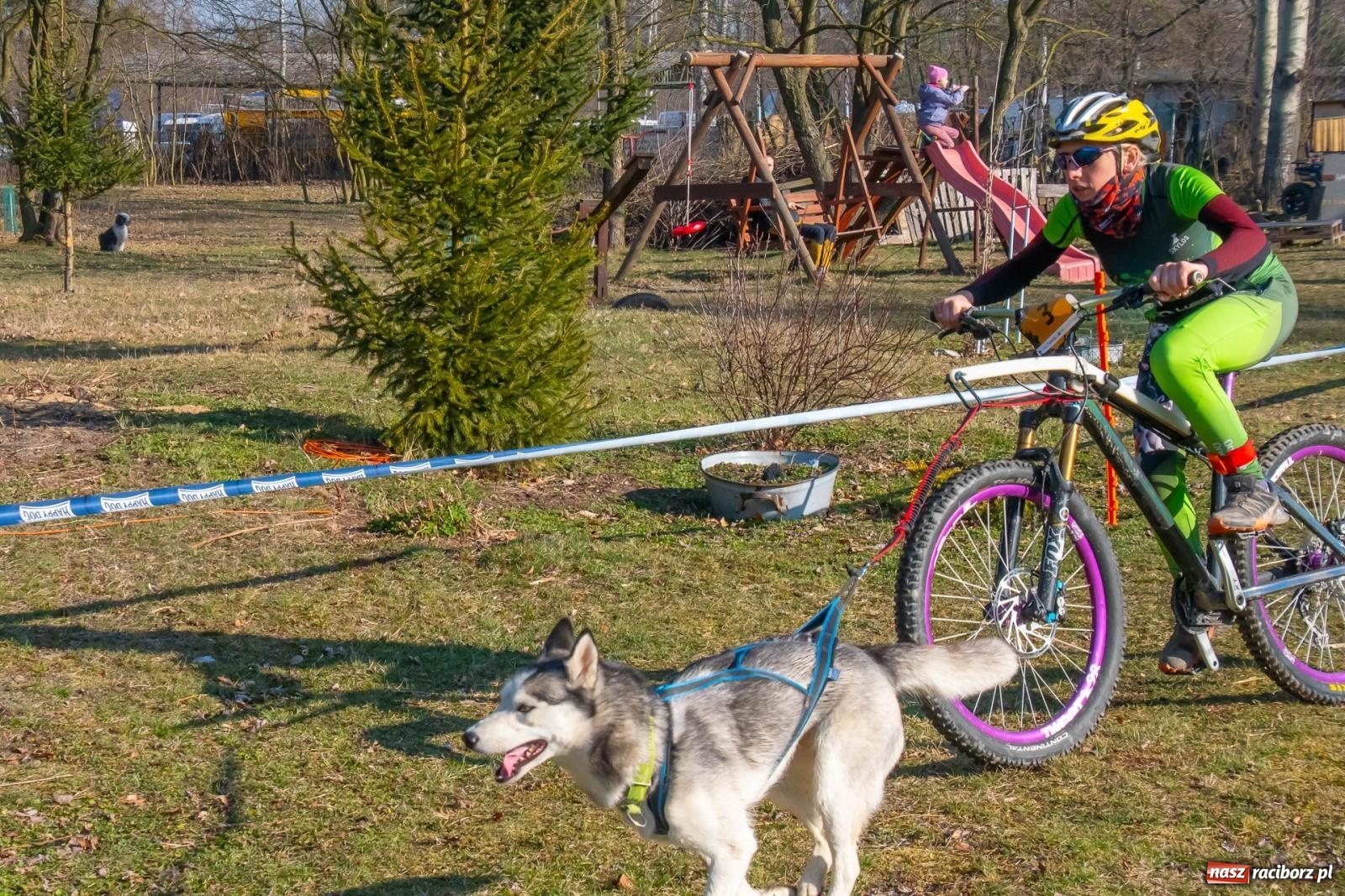 Zdjęcie w galerii na portalu naszraciborz.pl: DOG ADVENTURE SPRINT RACE – zawody psich zaprzęgów w Kuźni Raciborskiej [FOTO i WIDEO] wiadomości z regionu