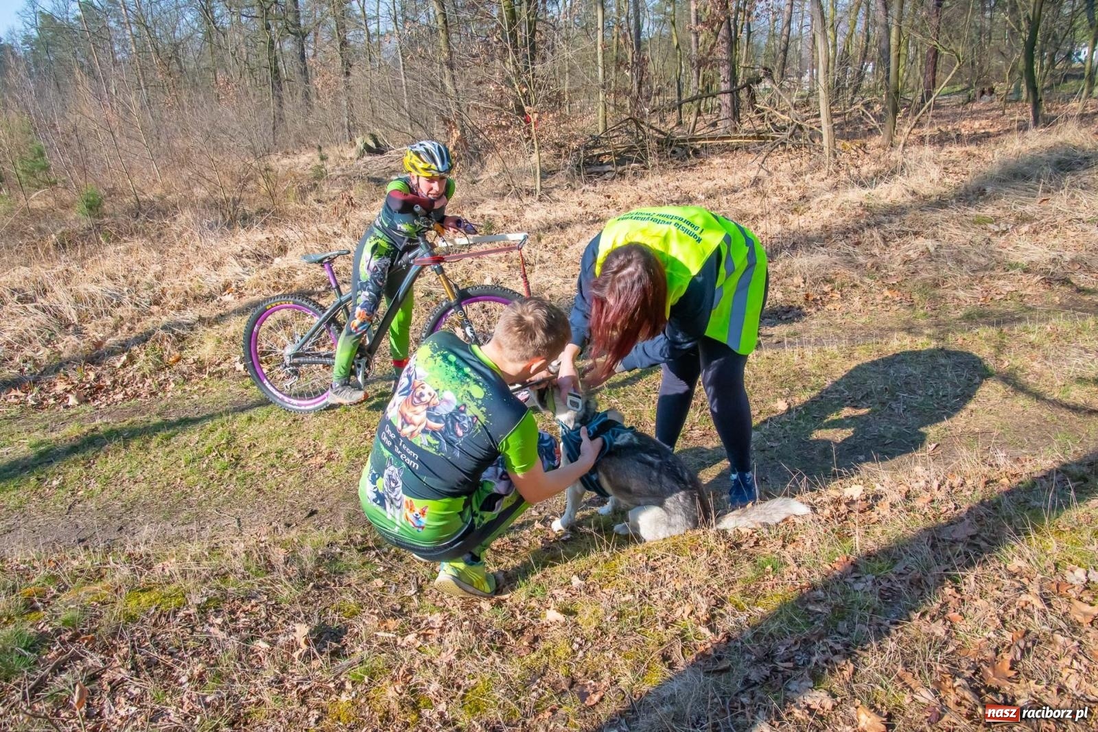 Zdjęcie w galerii na portalu naszraciborz.pl: DOG ADVENTURE SPRINT RACE – zawody psich zaprzęgów w Kuźni Raciborskiej [FOTO i WIDEO] wiadomości z regionu
