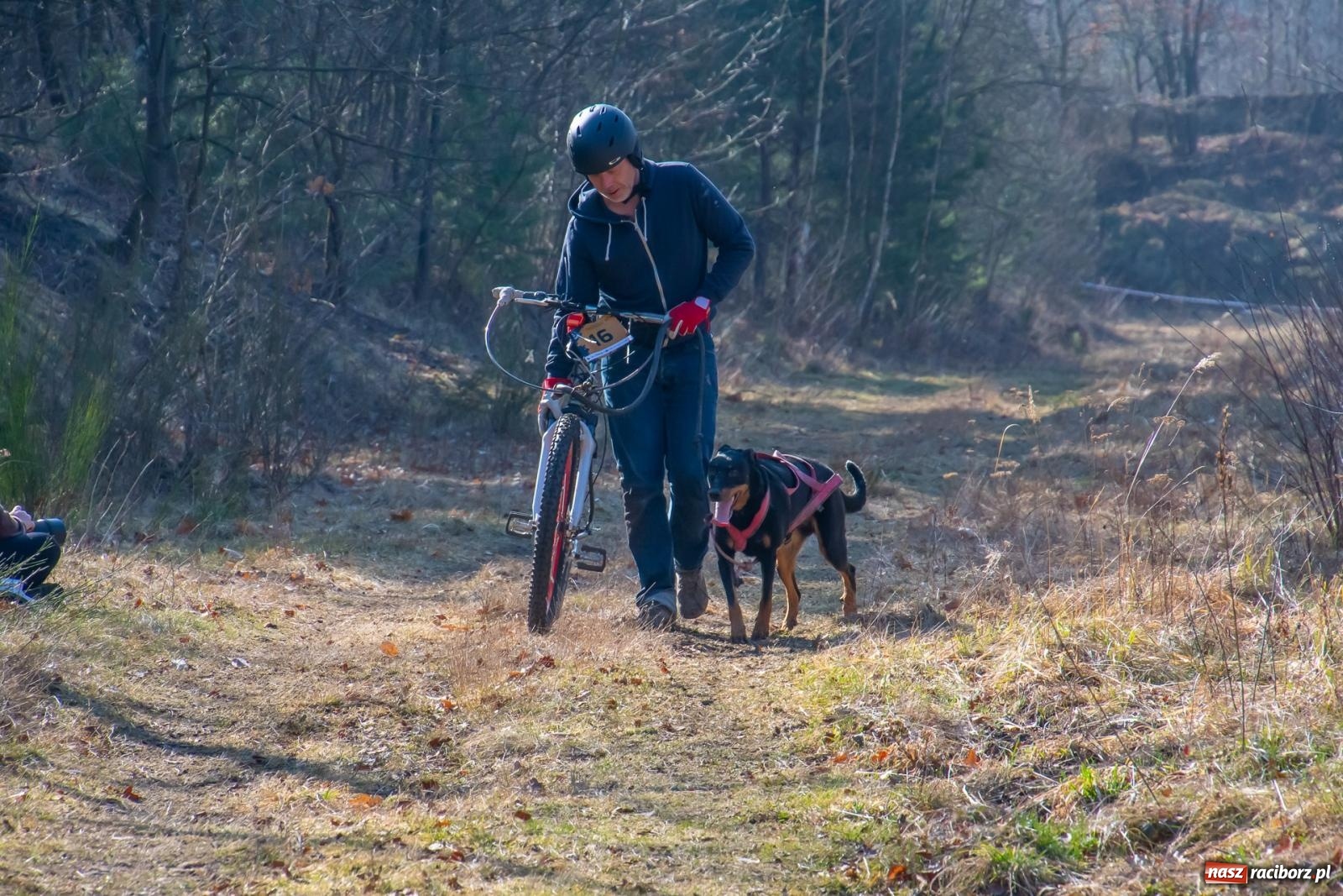 Zdjęcie w galerii na portalu naszraciborz.pl: DOG ADVENTURE SPRINT RACE – zawody psich zaprzęgów w Kuźni Raciborskiej [FOTO i WIDEO] wiadomości z regionu
