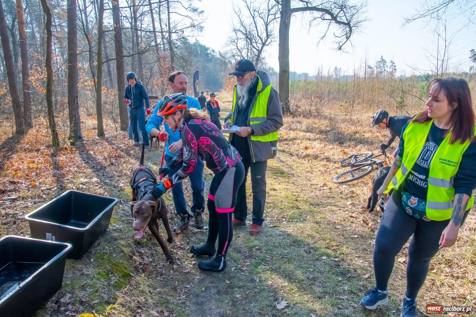 Zdjęcie w galerii na portalu naszraciborz.pl: DOG ADVENTURE SPRINT RACE – zawody psich zaprzęgów w Kuźni Raciborskiej [FOTO i WIDEO] wiadomości z regionu
