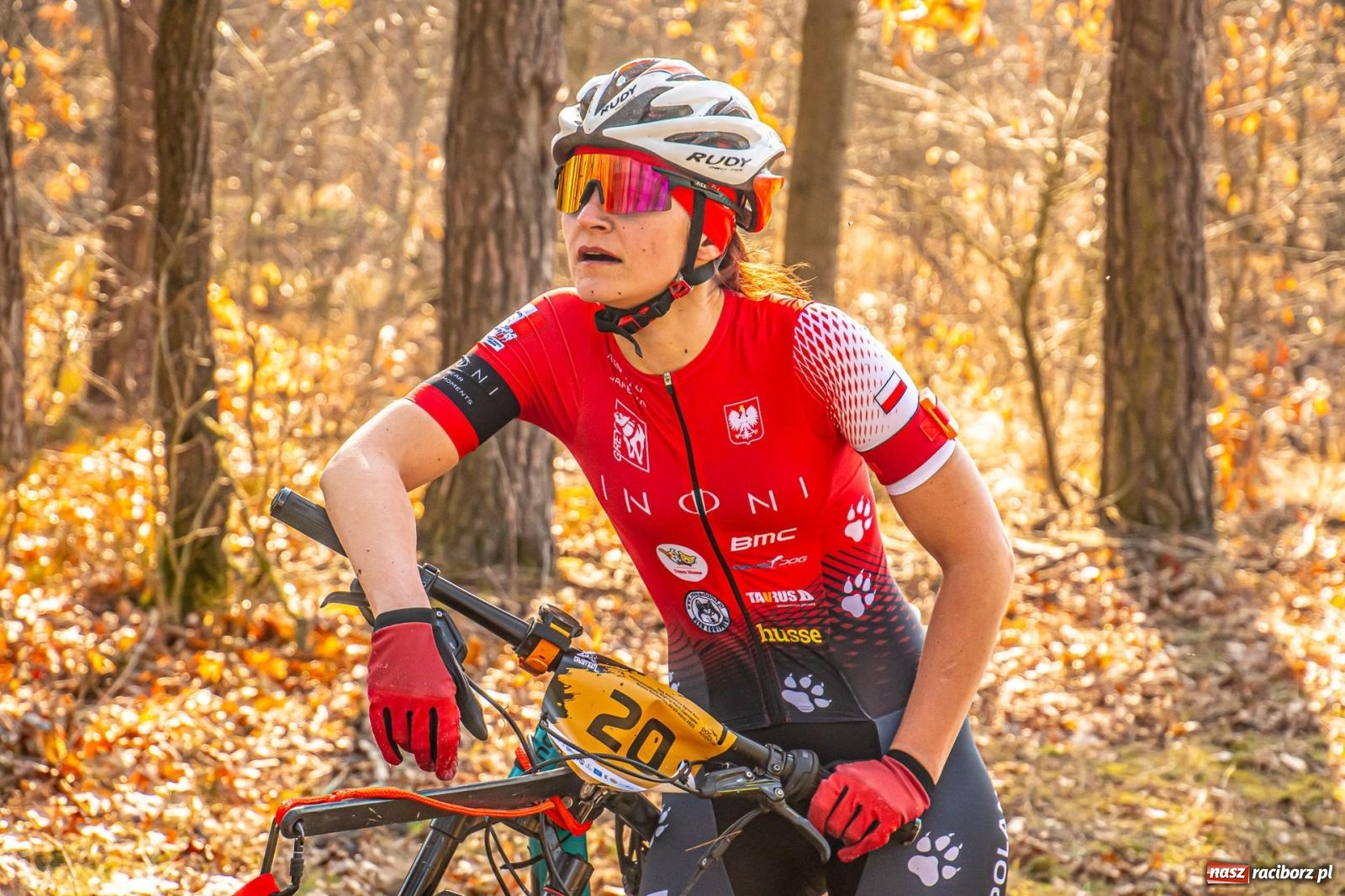 Zdjęcie w galerii na portalu naszraciborz.pl: DOG ADVENTURE SPRINT RACE – zawody psich zaprzęgów w Kuźni Raciborskiej [FOTO i WIDEO] wiadomości z regionu