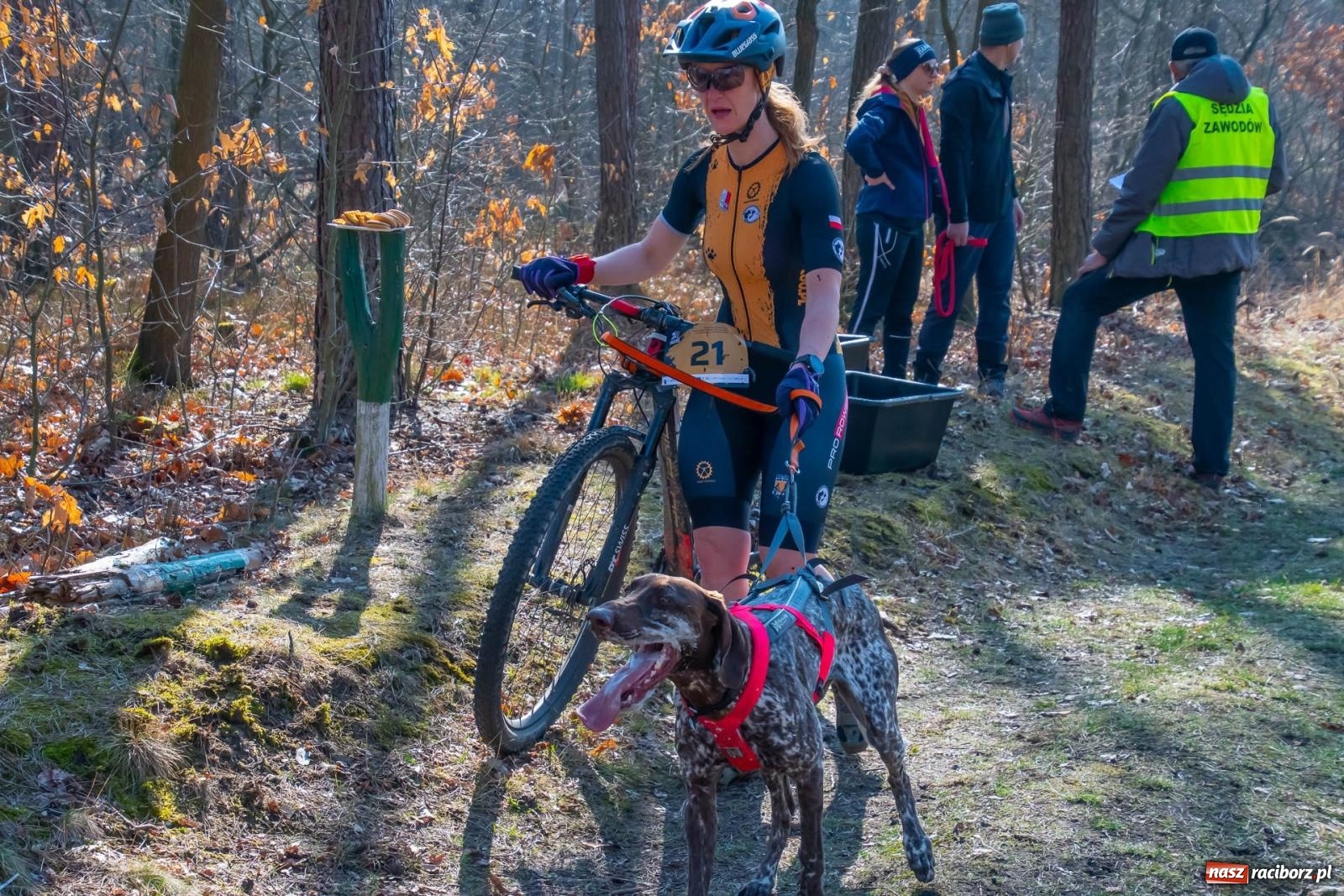 Zdjęcie w galerii na portalu naszraciborz.pl: DOG ADVENTURE SPRINT RACE – zawody psich zaprzęgów w Kuźni Raciborskiej [FOTO i WIDEO] wiadomości z regionu
