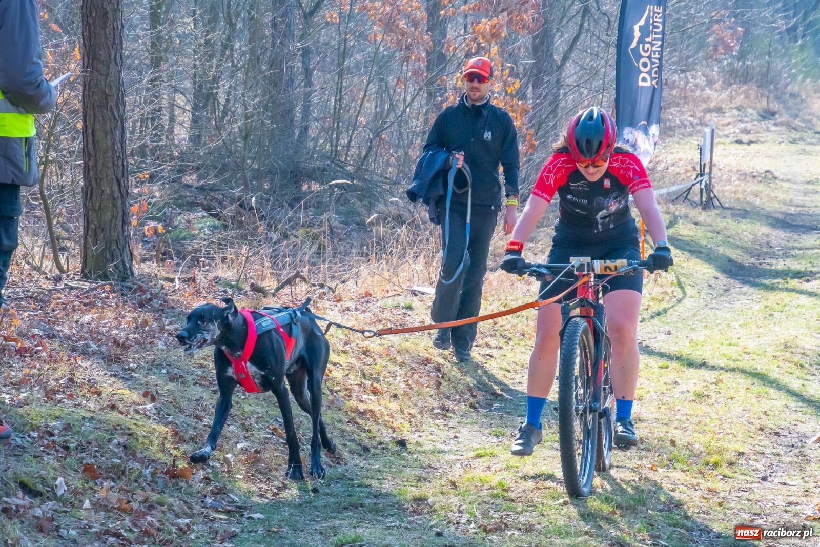 Zdjęcie w galerii na portalu naszraciborz.pl: DOG ADVENTURE SPRINT RACE – zawody psich zaprzęgów w Kuźni Raciborskiej [FOTO i WIDEO] wiadomości z regionu