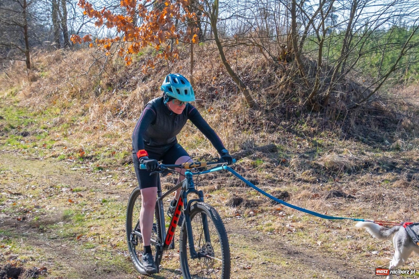 Zdjęcie w galerii na portalu naszraciborz.pl: DOG ADVENTURE SPRINT RACE – zawody psich zaprzęgów w Kuźni Raciborskiej [FOTO i WIDEO] wiadomości z regionu
