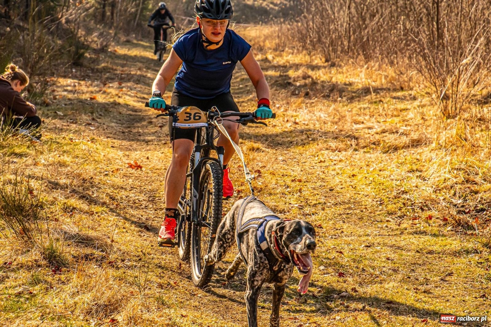 Zdjęcie w galerii na portalu naszraciborz.pl: DOG ADVENTURE SPRINT RACE – zawody psich zaprzęgów w Kuźni Raciborskiej [FOTO i WIDEO] wiadomości z regionu