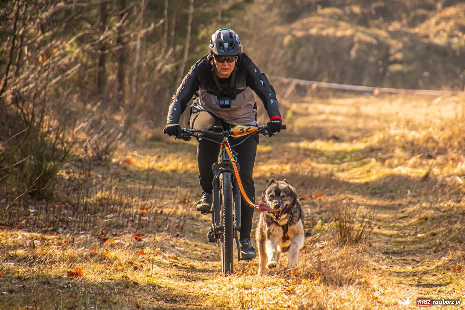 Zdjęcie w galerii na portalu naszraciborz.pl: DOG ADVENTURE SPRINT RACE – zawody psich zaprzęgów w Kuźni Raciborskiej [FOTO i WIDEO] wiadomości z regionu