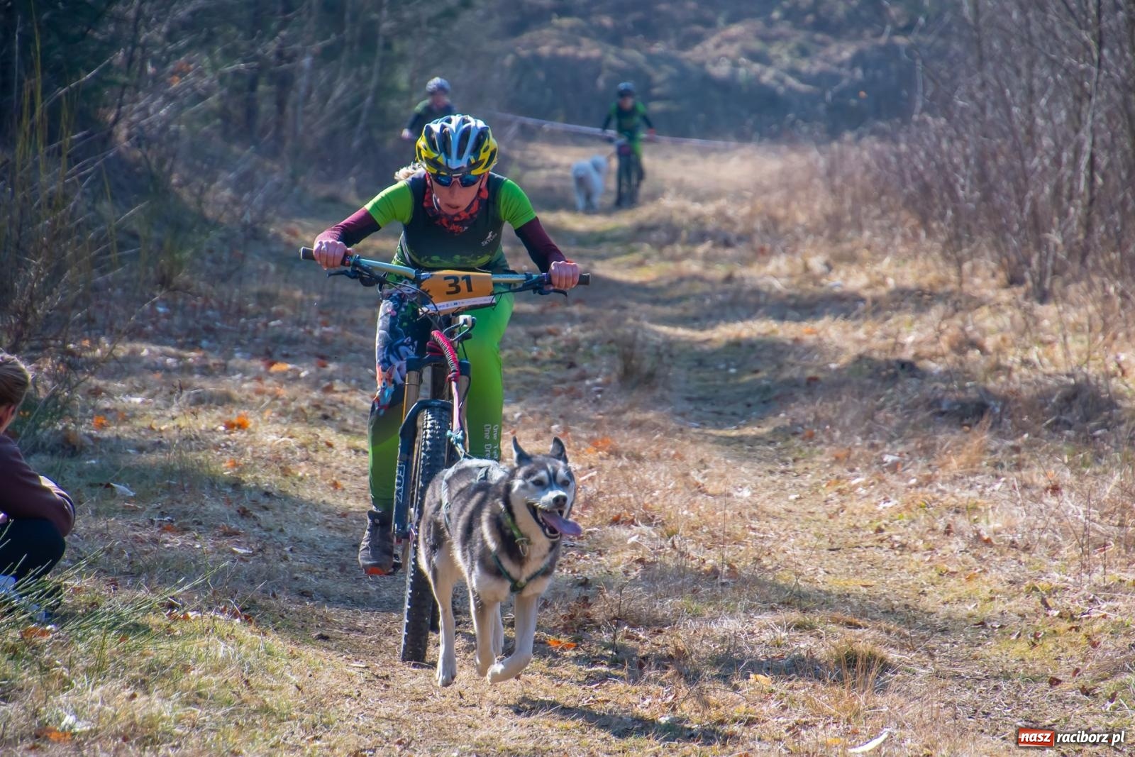 Zdjęcie w galerii na portalu naszraciborz.pl: DOG ADVENTURE SPRINT RACE – zawody psich zaprzęgów w Kuźni Raciborskiej [FOTO i WIDEO] wiadomości z regionu
