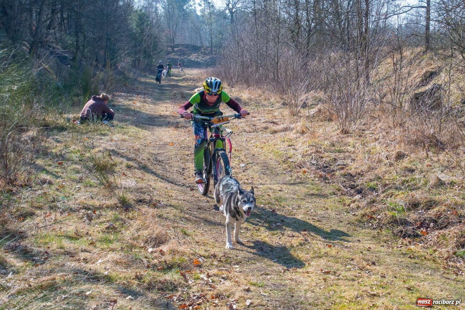 Zdjęcie w galerii na portalu naszraciborz.pl: DOG ADVENTURE SPRINT RACE – zawody psich zaprzęgów w Kuźni Raciborskiej [FOTO i WIDEO] wiadomości z regionu