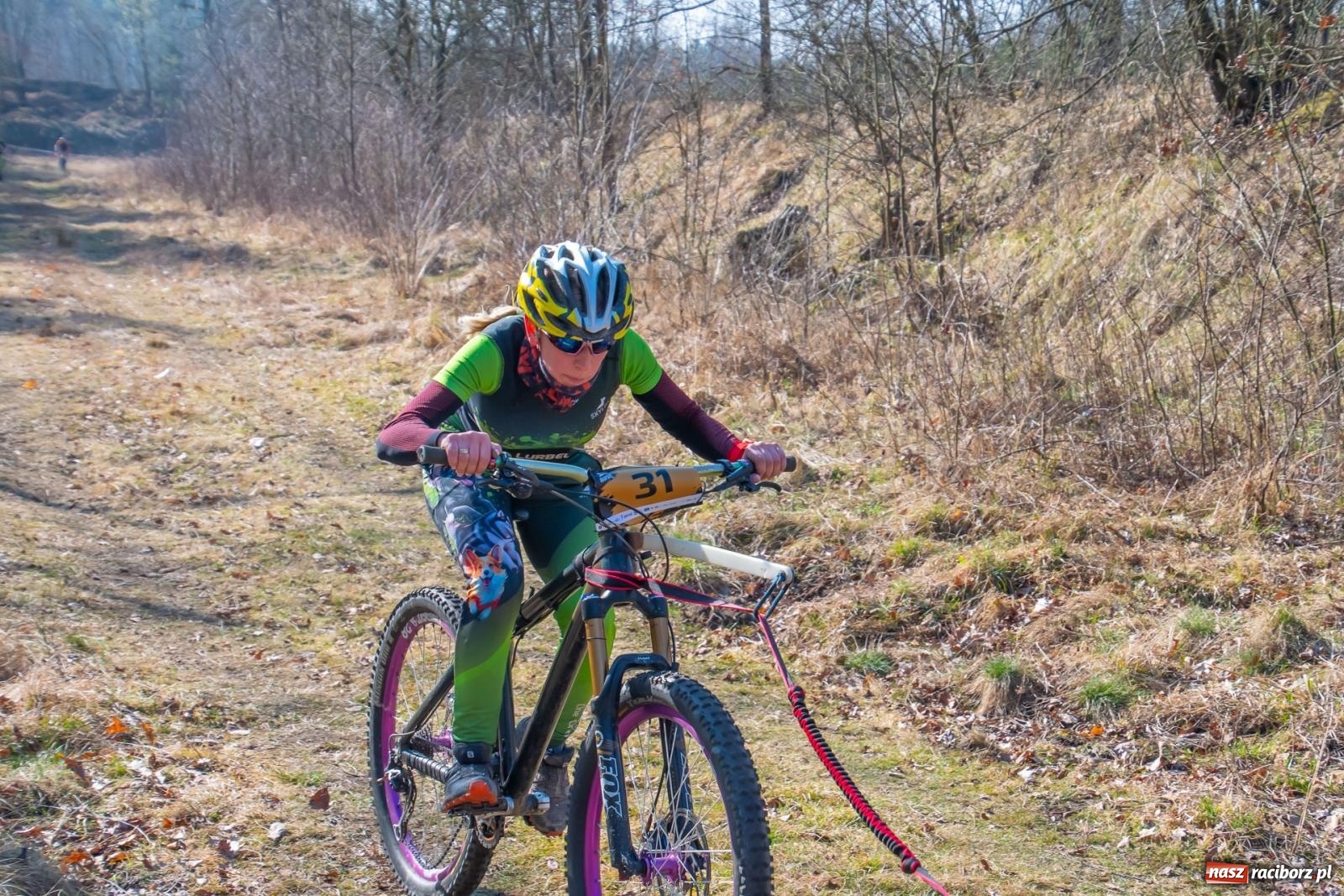 Zdjęcie w galerii na portalu naszraciborz.pl: DOG ADVENTURE SPRINT RACE – zawody psich zaprzęgów w Kuźni Raciborskiej [FOTO i WIDEO] wiadomości z regionu