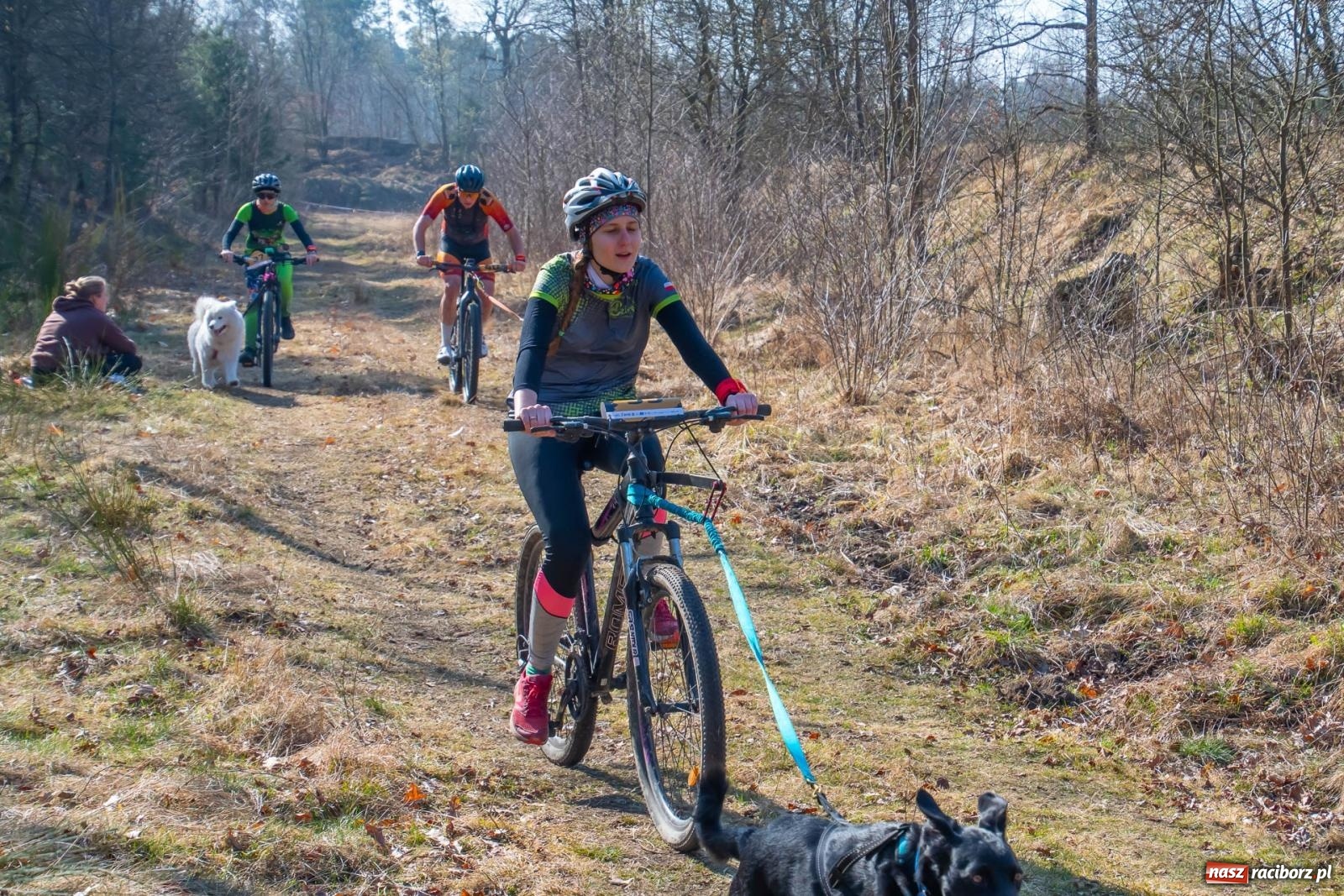 Zdjęcie w galerii na portalu naszraciborz.pl: DOG ADVENTURE SPRINT RACE – zawody psich zaprzęgów w Kuźni Raciborskiej [FOTO i WIDEO] wiadomości z regionu