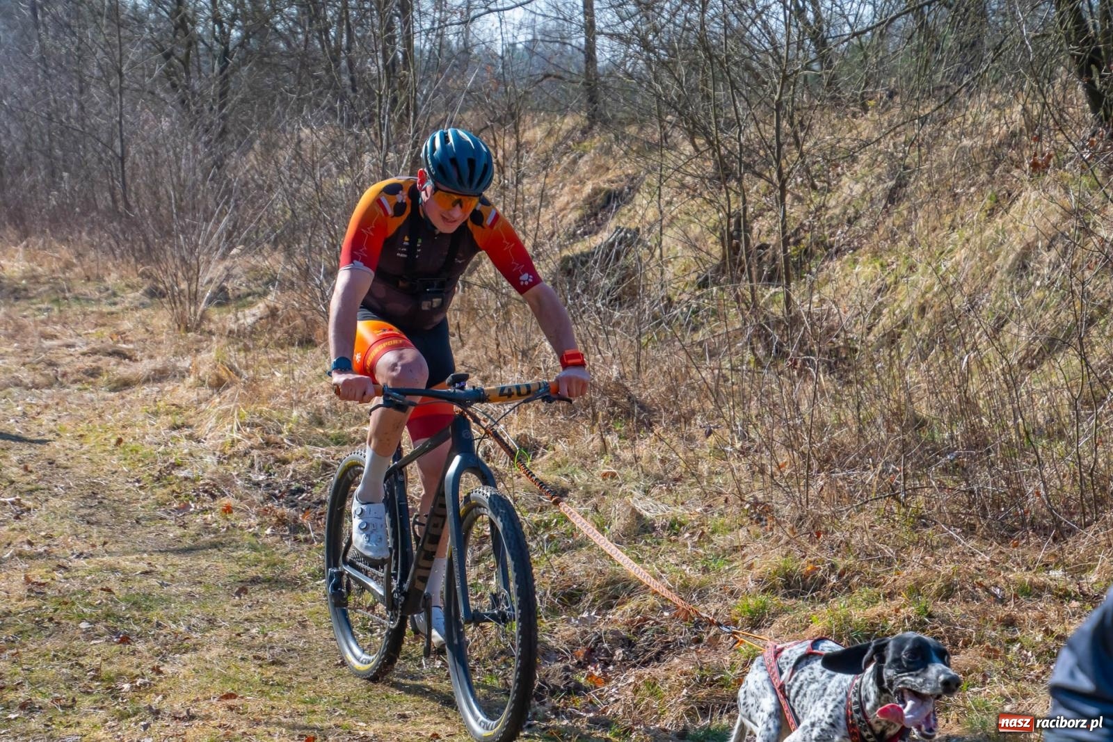 Zdjęcie w galerii na portalu naszraciborz.pl: DOG ADVENTURE SPRINT RACE – zawody psich zaprzęgów w Kuźni Raciborskiej [FOTO i WIDEO] wiadomości z regionu