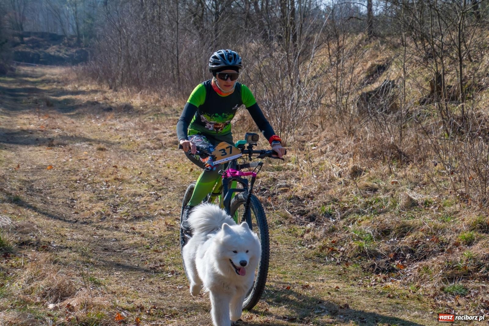 Zdjęcie w galerii na portalu naszraciborz.pl: DOG ADVENTURE SPRINT RACE – zawody psich zaprzęgów w Kuźni Raciborskiej [FOTO i WIDEO] wiadomości z regionu