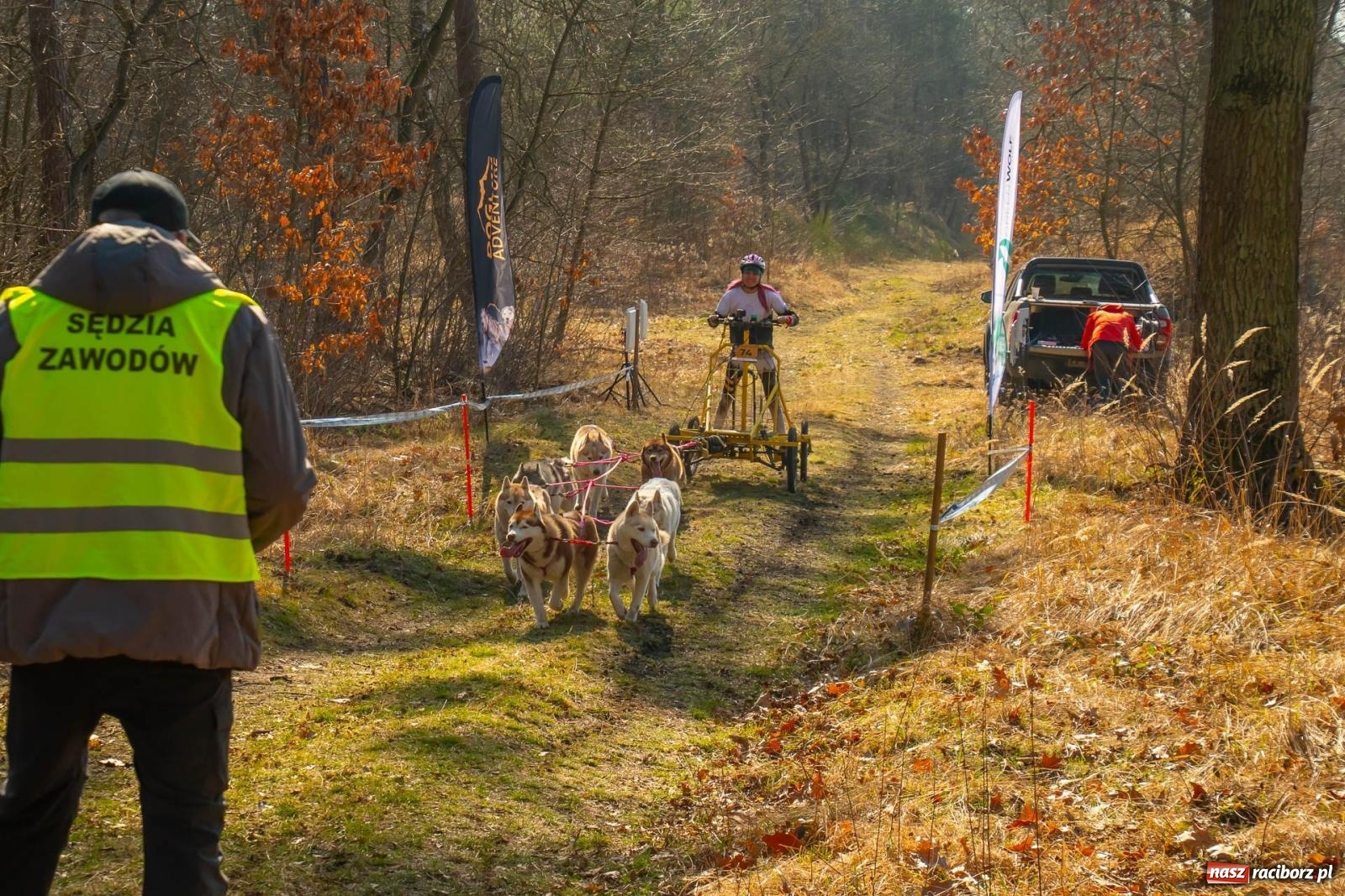 Zdjęcie w galerii na portalu naszraciborz.pl: DOG ADVENTURE SPRINT RACE – zawody psich zaprzęgów w Kuźni Raciborskiej [FOTO i WIDEO] wiadomości z regionu