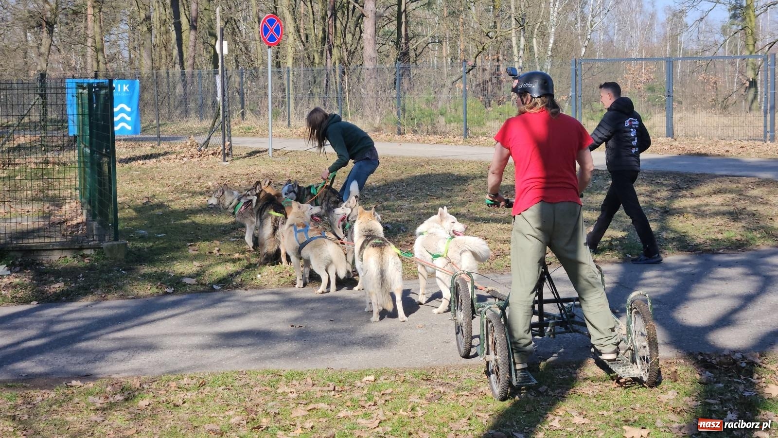 Zdjęcie w galerii na portalu naszraciborz.pl: DOG ADVENTURE SPRINT RACE – zawody psich zaprzęgów w Kuźni Raciborskiej [FOTO i WIDEO] wiadomości z regionu
