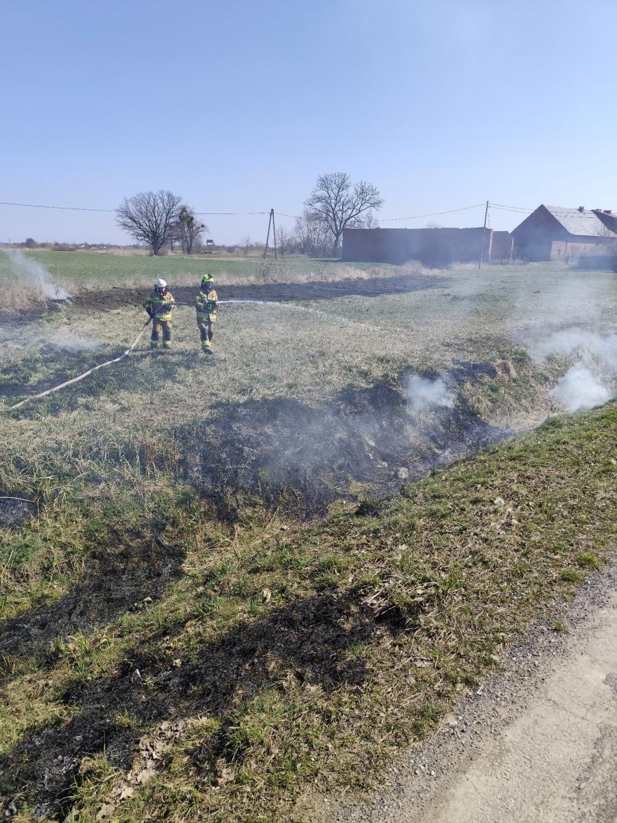 Zdjęcie w galerii na portalu naszraciborz.pl: Dwa piątkowe pożary traw [RAPORT 998] wiadomości z regionu