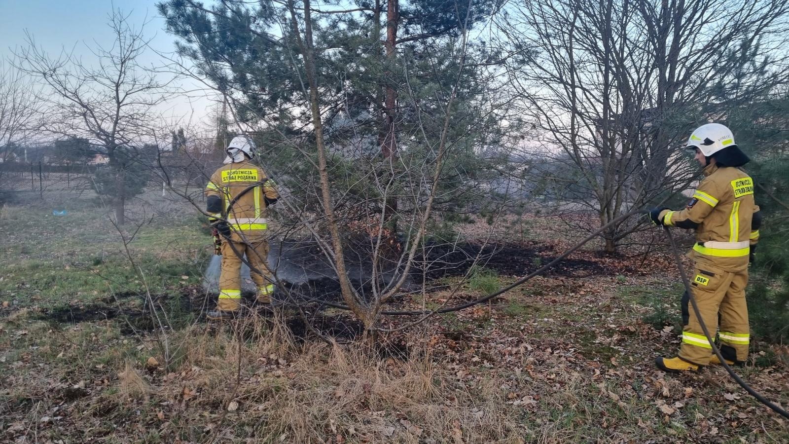 Zdjęcie w galerii na portalu naszraciborz.pl: Dwa piątkowe pożary traw [RAPORT 998] wiadomości z regionu