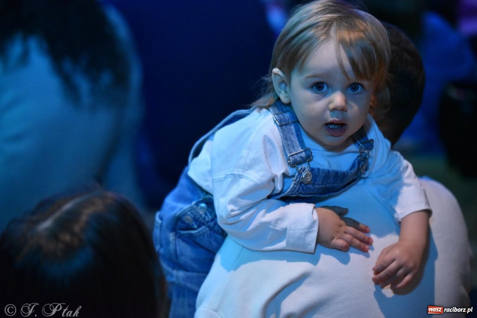 Zdjęcie w galerii na portalu naszraciborz.pl: Ptasie radio. Muzyczna podróż dla najmłodszych w RCK wiadomości z regionu