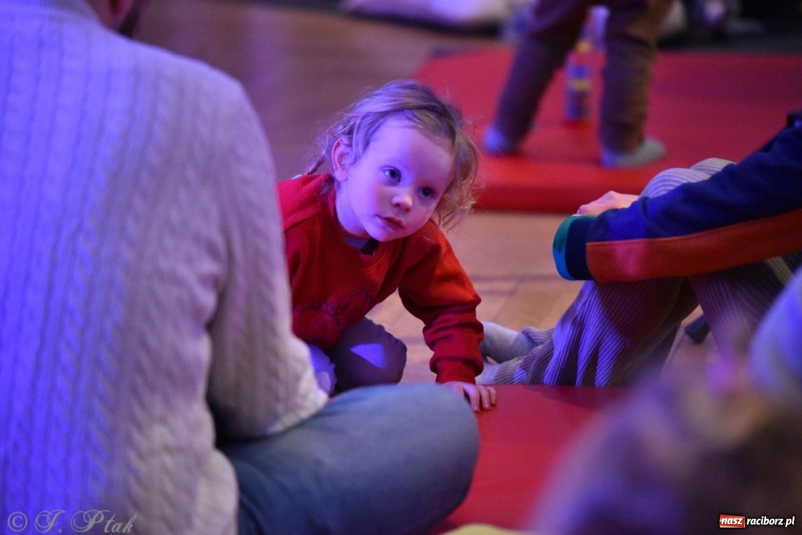 Zdjęcie w galerii na portalu naszraciborz.pl: Ptasie radio. Muzyczna podróż dla najmłodszych w RCK wiadomości z regionu