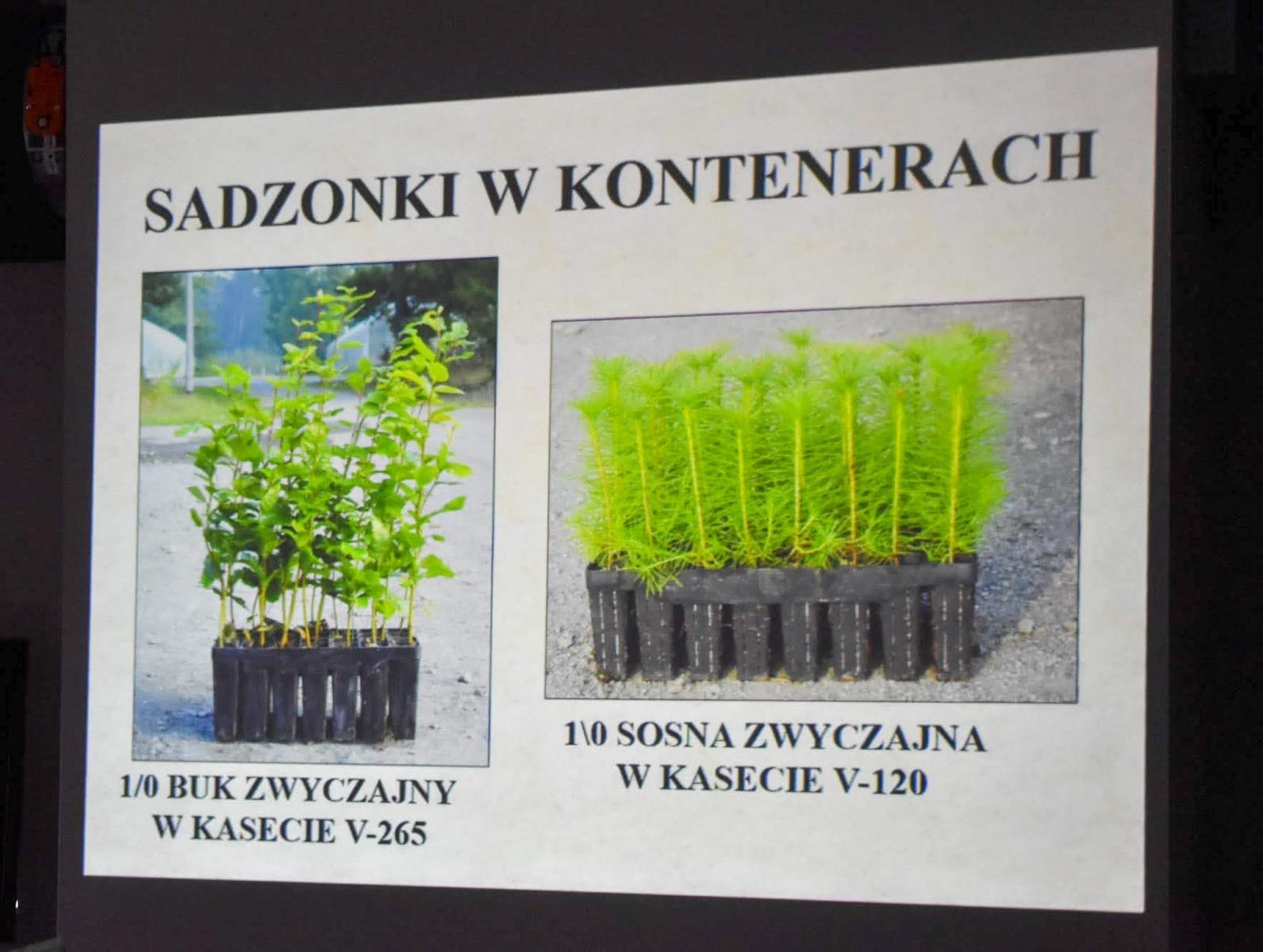 Zdjęcie w galerii na portalu naszraciborz.pl: Historia i przyroda na Zamku Piastowskim – edukacyjne wydarzenie w Raciborzu wiadomości z regionu