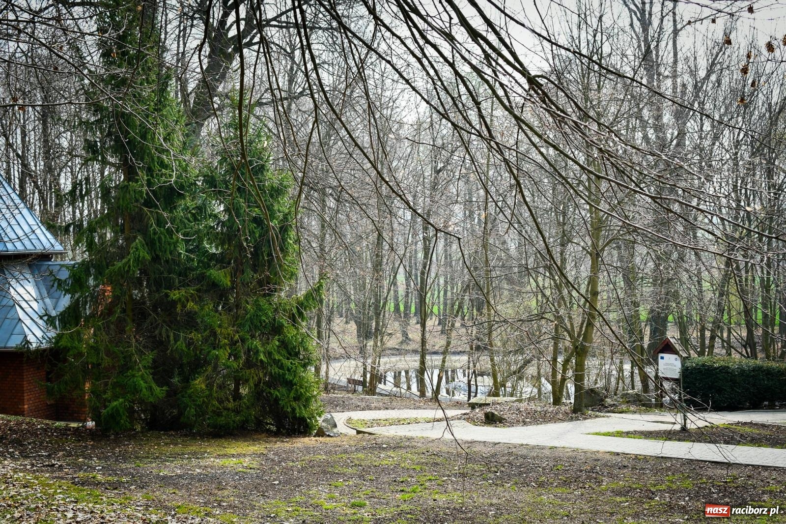 Zdjęcie w galerii na portalu naszraciborz.pl: Pietrowickie arboretum wypięknieje. Pomógł WFOŚiGW z Katowic [FOTO i WIDEO] wiadomości z regionu