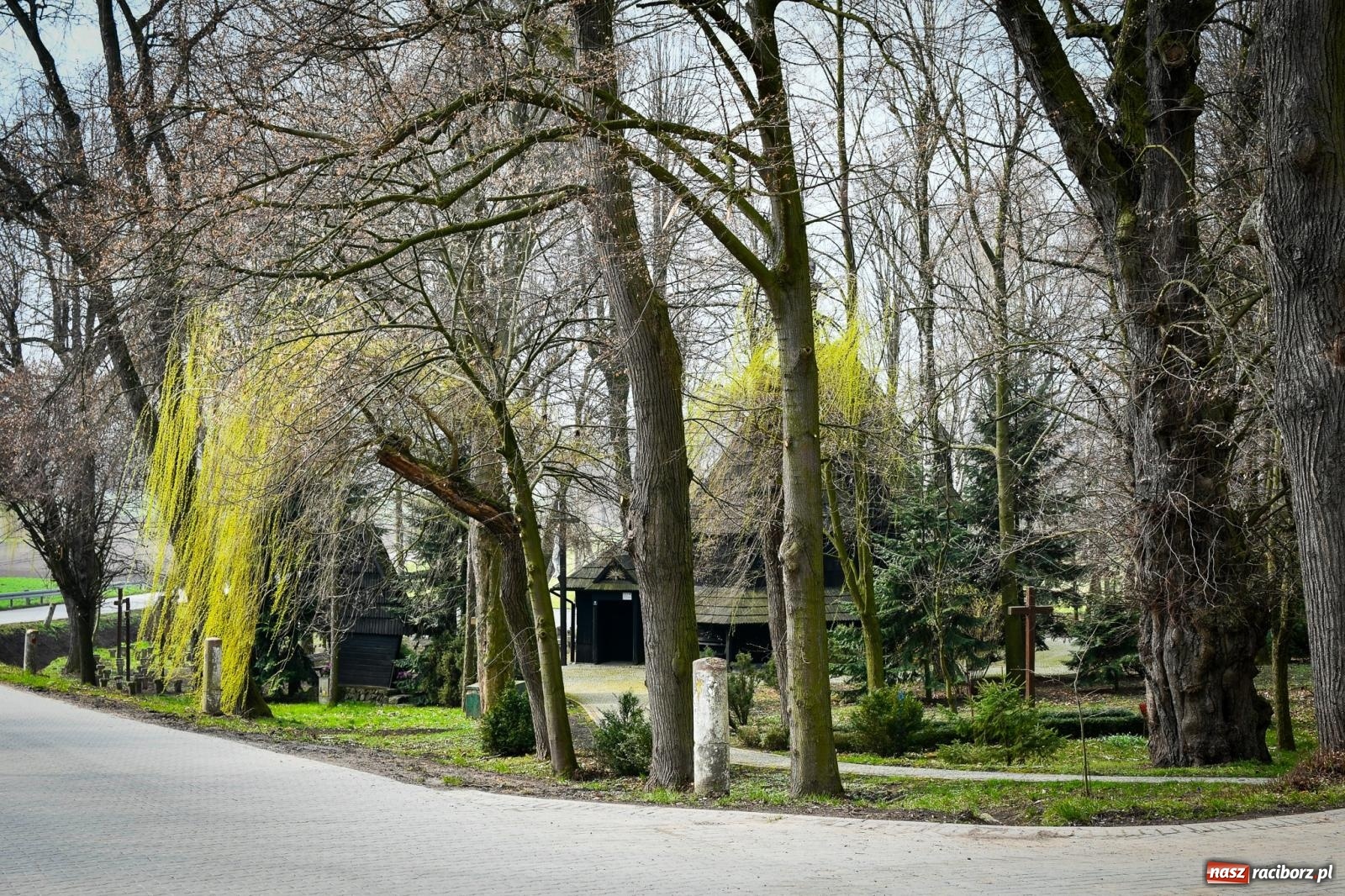 Zdjęcie w galerii na portalu naszraciborz.pl: Pietrowickie arboretum wypięknieje. Pomógł WFOŚiGW z Katowic [FOTO i WIDEO] wiadomości z regionu