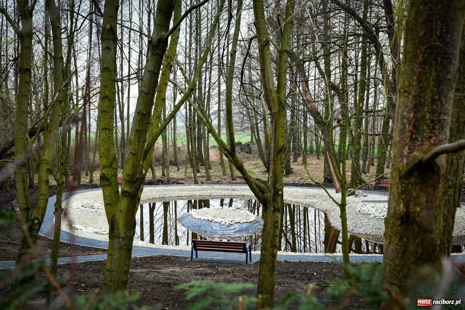 Zdjęcie w galerii na portalu naszraciborz.pl: Pietrowickie arboretum wypięknieje. Pomógł WFOŚiGW z Katowic [FOTO i WIDEO] wiadomości z regionu