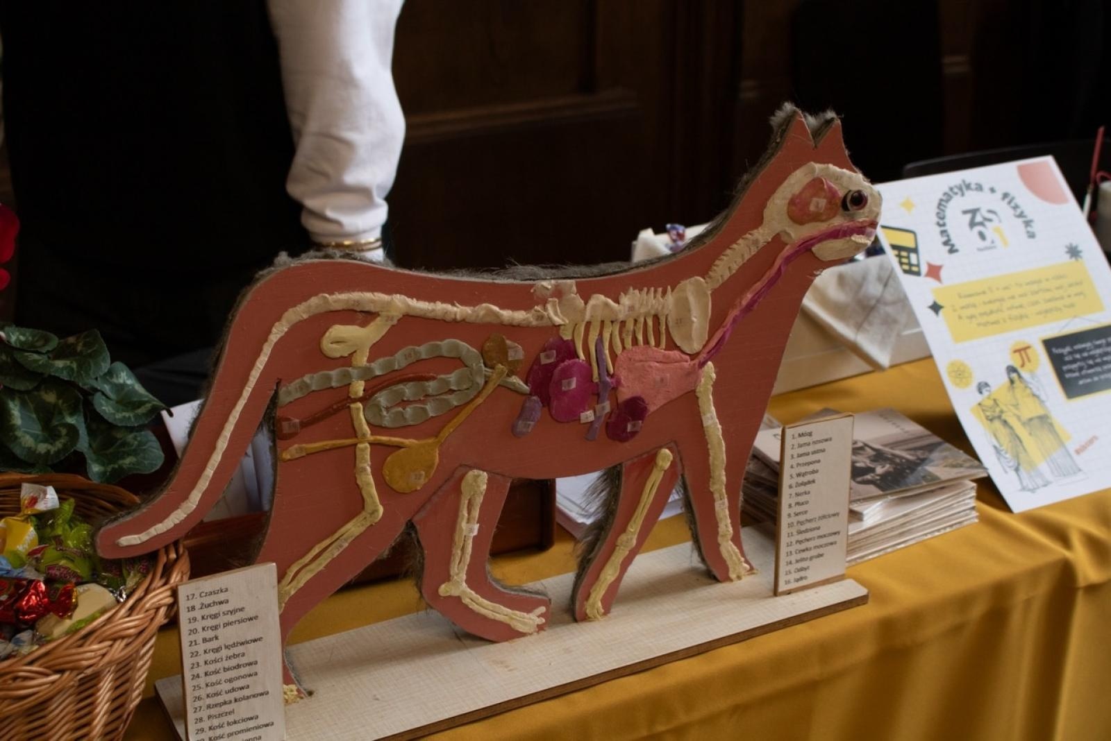 Zdjęcie w galerii na portalu naszraciborz.pl: Rodzina Kasprowicza. Dni otwarte w ZSO nr 1 wiadomości z regionu