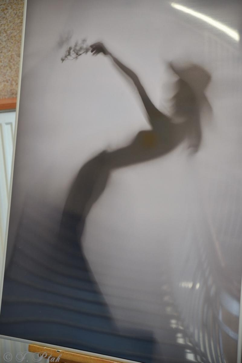 Zdjęcie w galerii na portalu naszraciborz.pl: Rodzina Kasprowicza. Dni otwarte w ZSO nr 1 wiadomości z regionu