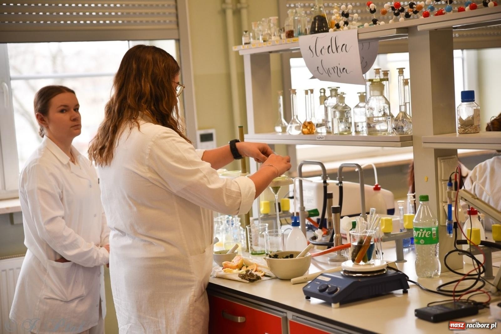 Zdjęcie w galerii na portalu naszraciborz.pl: Budują, projektują, gotują i dbają o urodę. Dzień otwartu w CKZiU nr 1 wiadomości z regionu