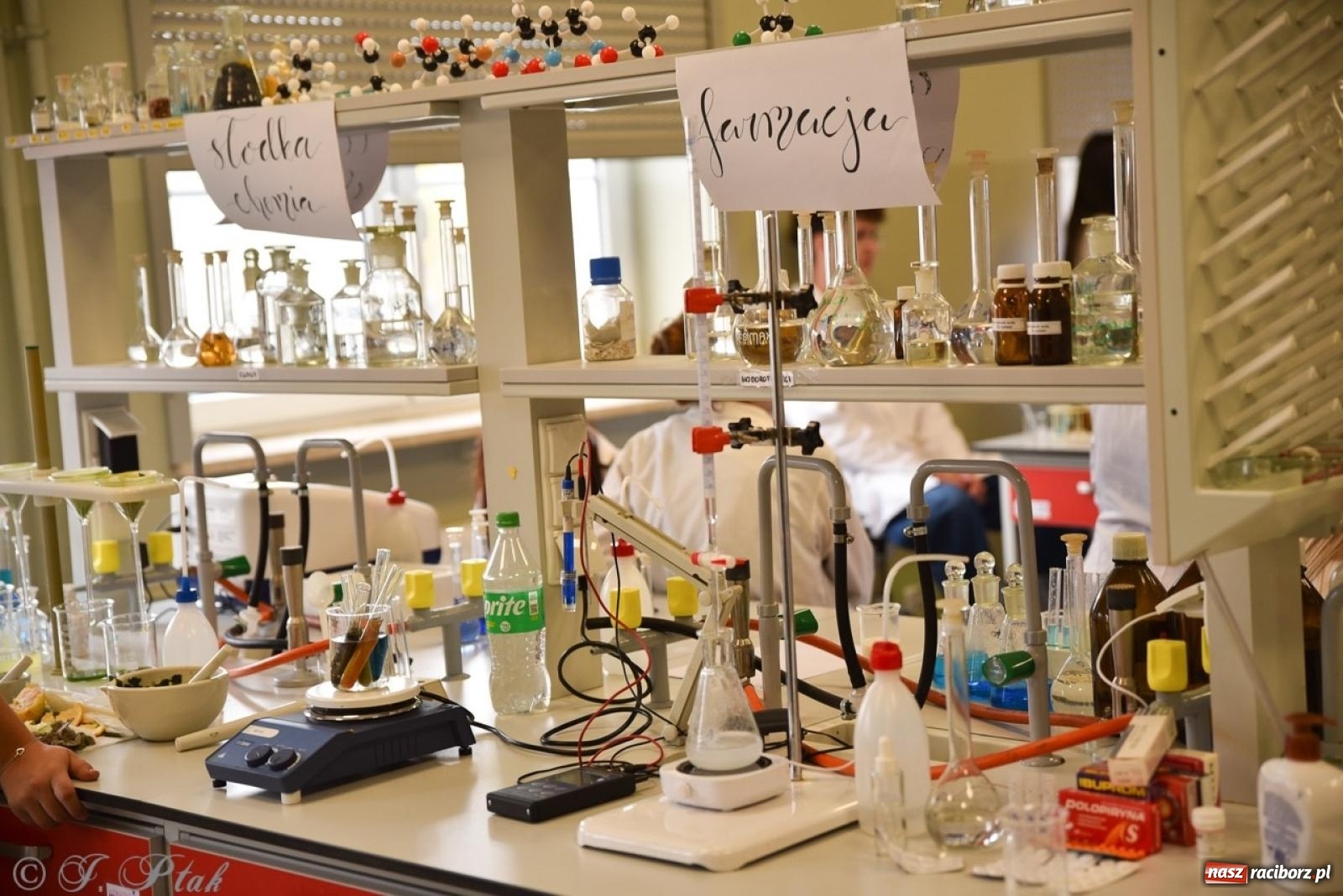 Zdjęcie w galerii na portalu naszraciborz.pl: Budują, projektują, gotują i dbają o urodę. Dzień otwartu w CKZiU nr 1 wiadomości z regionu