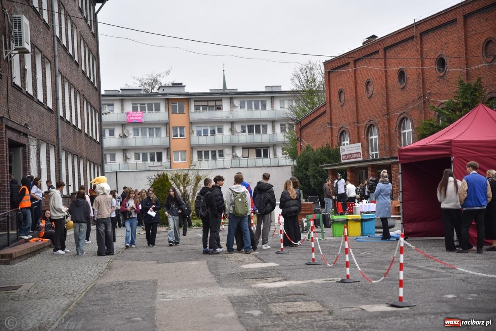 Zdjęcie w galerii na portalu naszraciborz.pl: Budują, projektują, gotują i dbają o urodę. Dzień otwartu w CKZiU nr 1 wiadomości z regionu