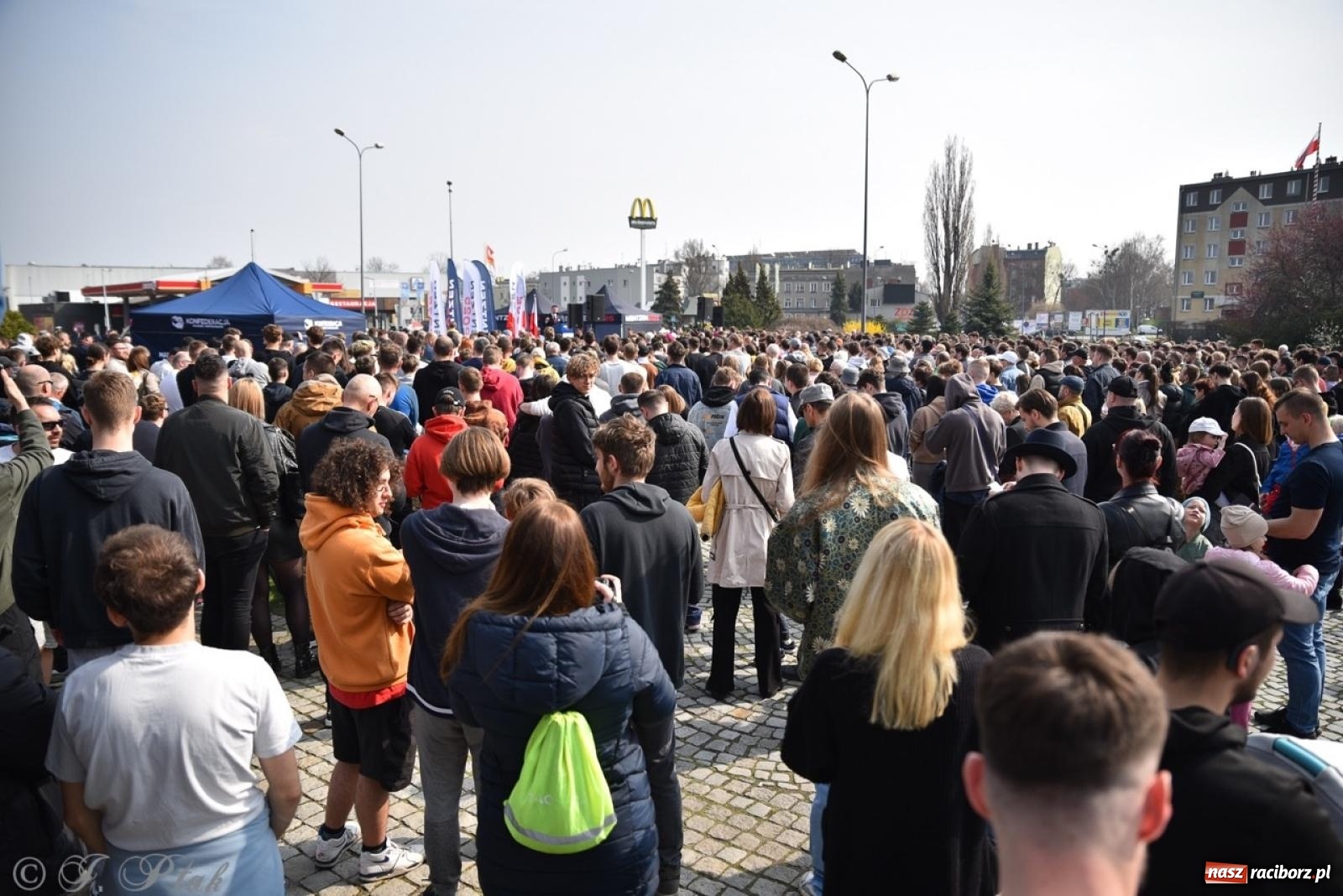 Zdjęcie w galerii na portalu naszraciborz.pl: Cześć, tu Sławomir. Mentzen na wiecu przy Matce Polce w Raciborzu [FOTO i WIDEO] wiadomości z regionu