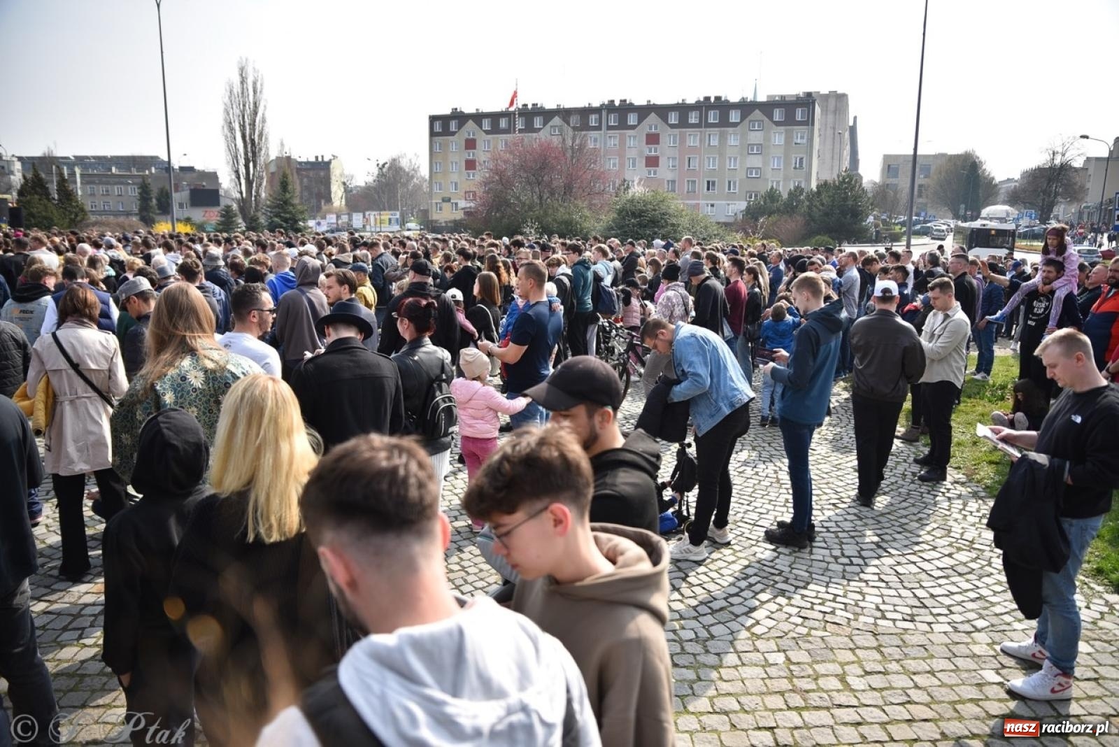 Zdjęcie w galerii na portalu naszraciborz.pl: Cześć, tu Sławomir. Mentzen na wiecu przy Matce Polce w Raciborzu [FOTO i WIDEO] wiadomości z regionu