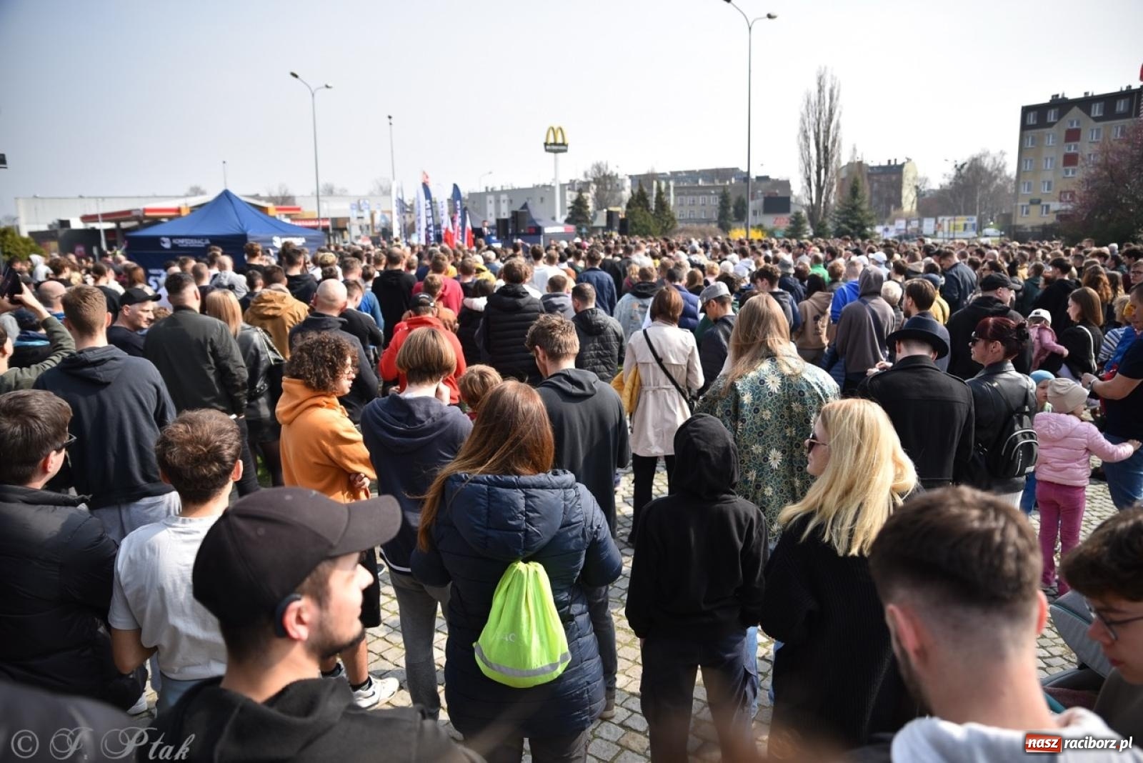 Zdjęcie w galerii na portalu naszraciborz.pl: Cześć, tu Sławomir. Mentzen na wiecu przy Matce Polce w Raciborzu [FOTO i WIDEO] wiadomości z regionu