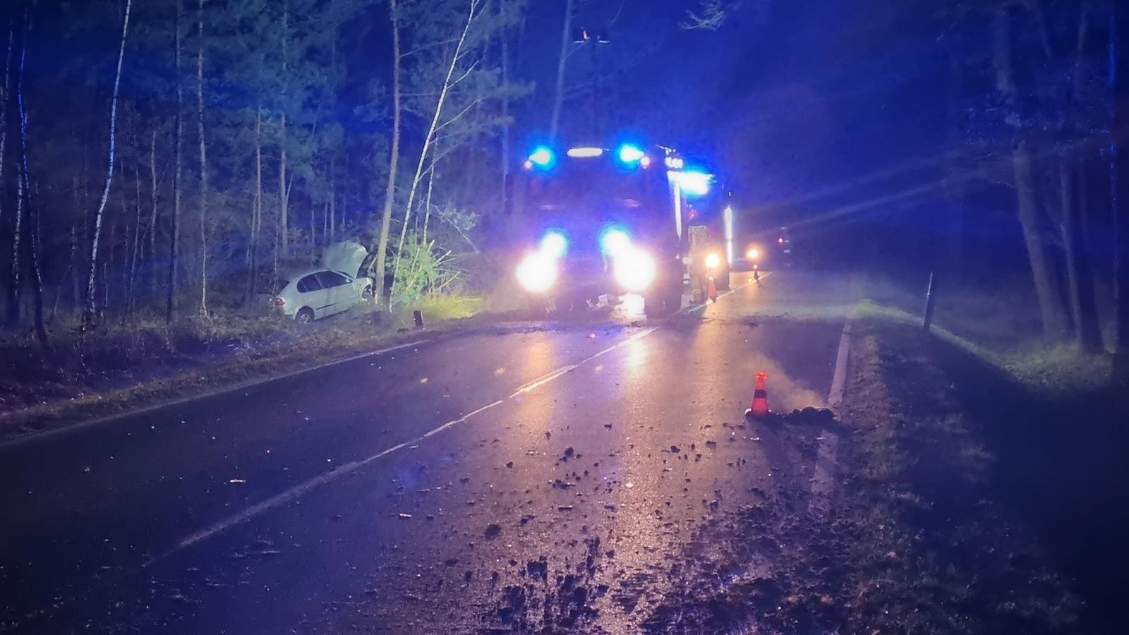 Zdjęcie w galerii na portalu naszraciborz.pl: Zderzenie z jeleniem i zapach gazu. Strażacy interweniowali w Kuźni Raciborskiej, Raciborzu i Górkach Śląskich wiadomości z regionu
