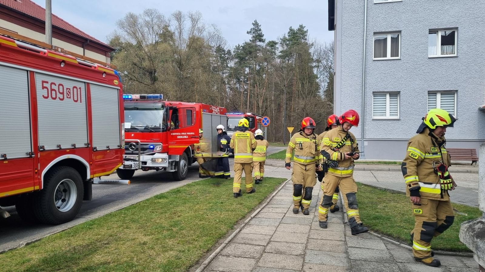 Zdjęcie w galerii na portalu naszraciborz.pl: Zderzenie z jeleniem i zapach gazu. Strażacy interweniowali w Kuźni Raciborskiej, Raciborzu i Górkach Śląskich wiadomości z regionu