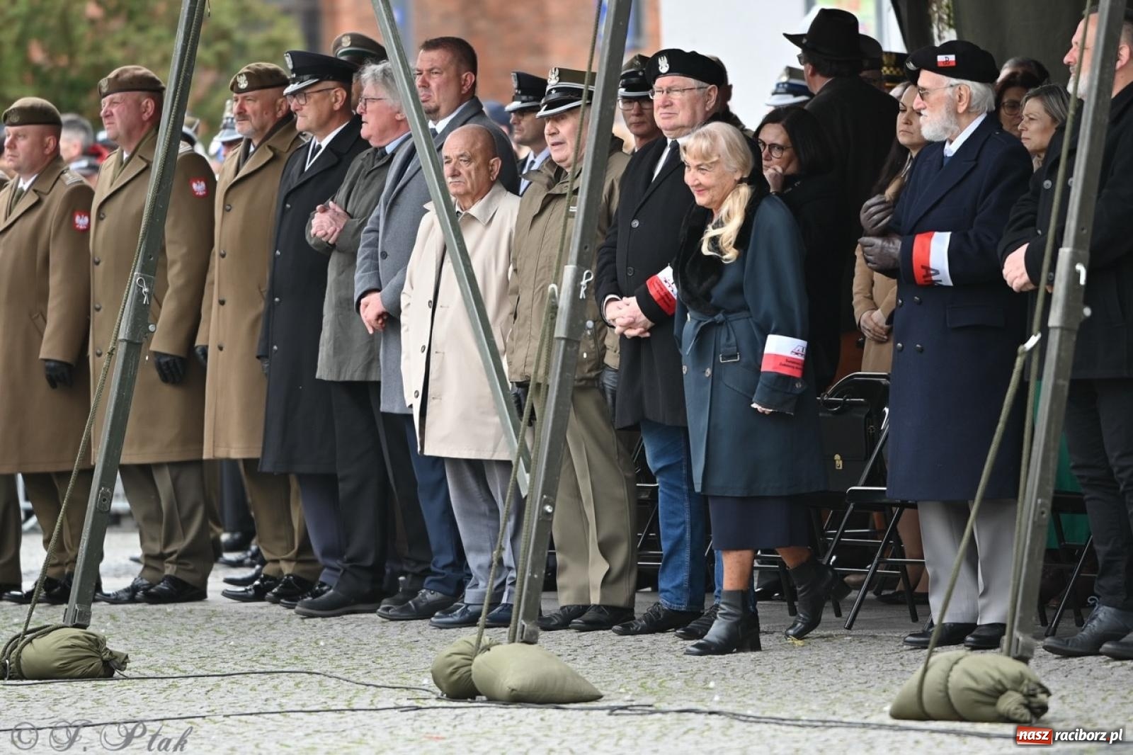Zdjęcie w galerii na portalu naszraciborz.pl: MON odmówił utworzenia batalionu WOT w Raciborzu. Będzie kolejny wniosek z ratusza wiadomości z regionu